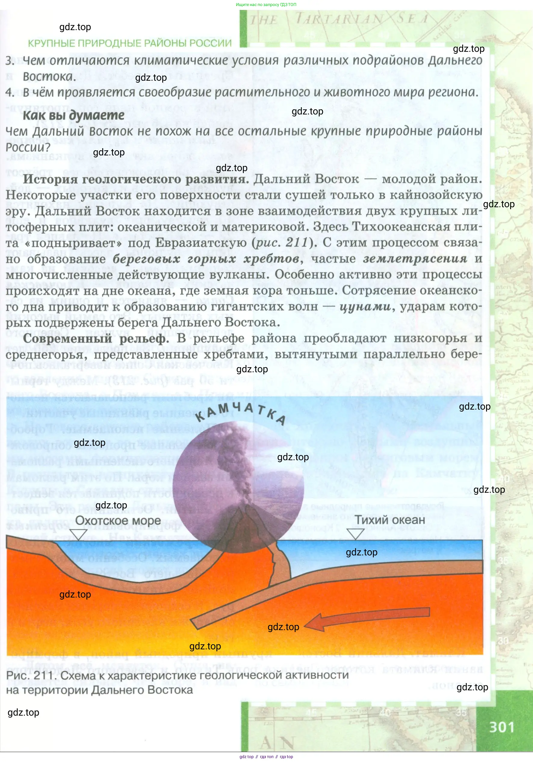 География, 8 класс Учебник, авторы: Домогацких Евгений Михайлович, Алексеевский Николай Иванович, издательство Русское слово, Москва, жёлтого цвета, страница 301