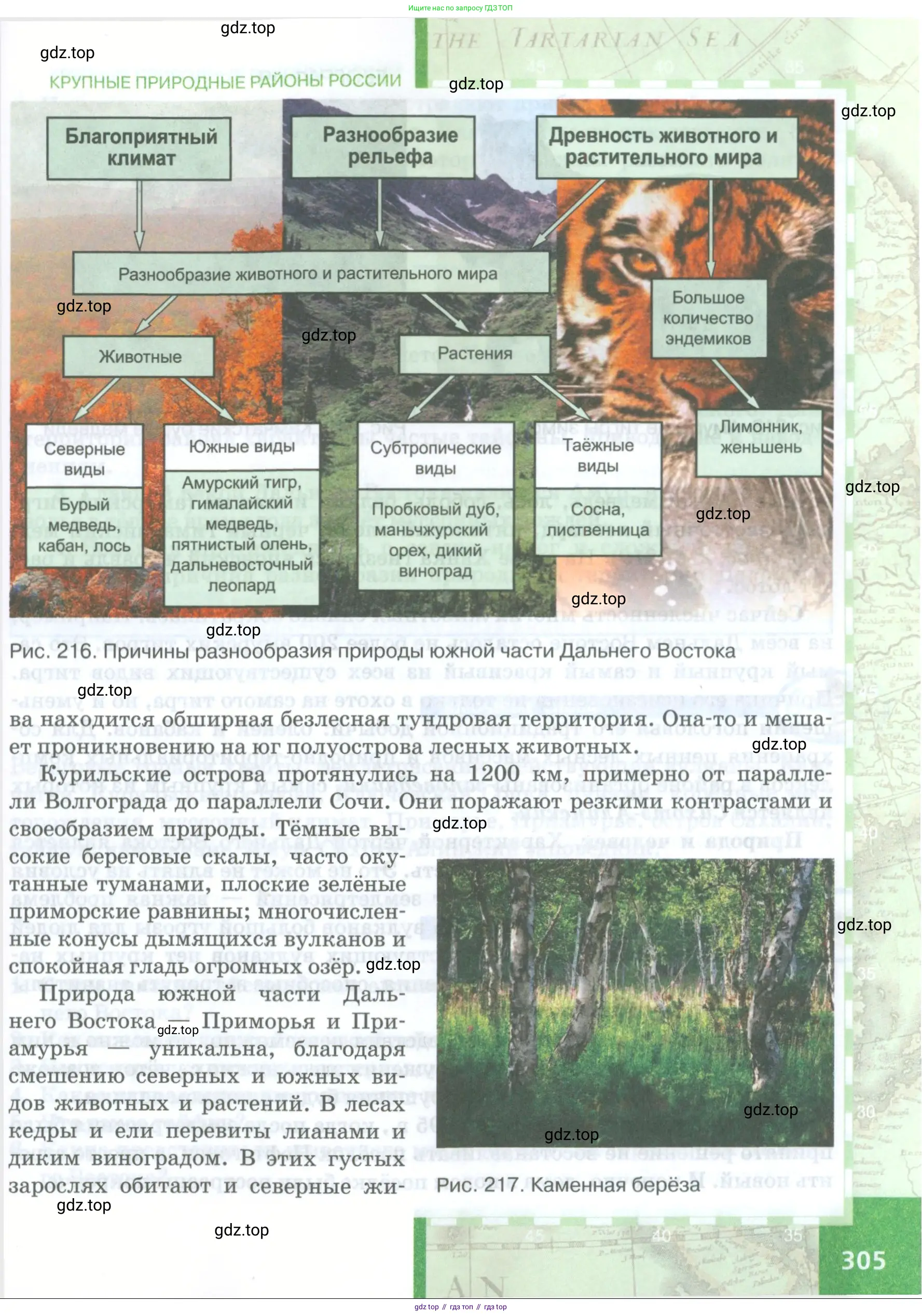 География, 8 класс Учебник, авторы: Домогацких Евгений Михайлович, Алексеевский Николай Иванович, издательство Русское слово, Москва, жёлтого цвета, страница 305