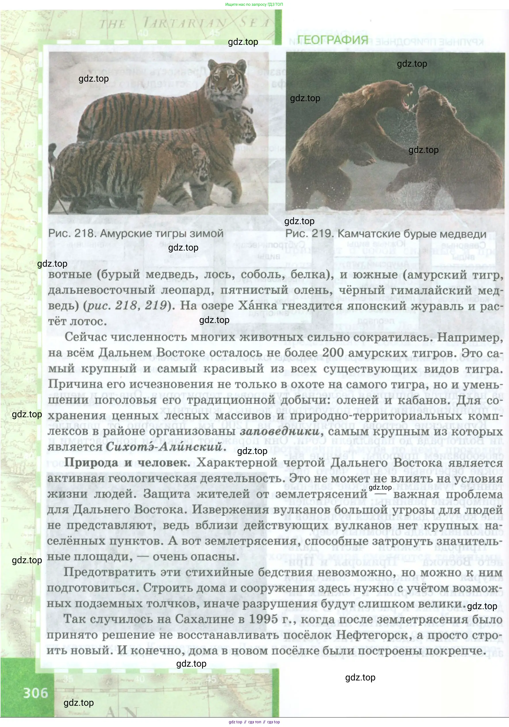 География, 8 класс Учебник, авторы: Домогацких Евгений Михайлович, Алексеевский Николай Иванович, издательство Русское слово, Москва, жёлтого цвета, страница 306