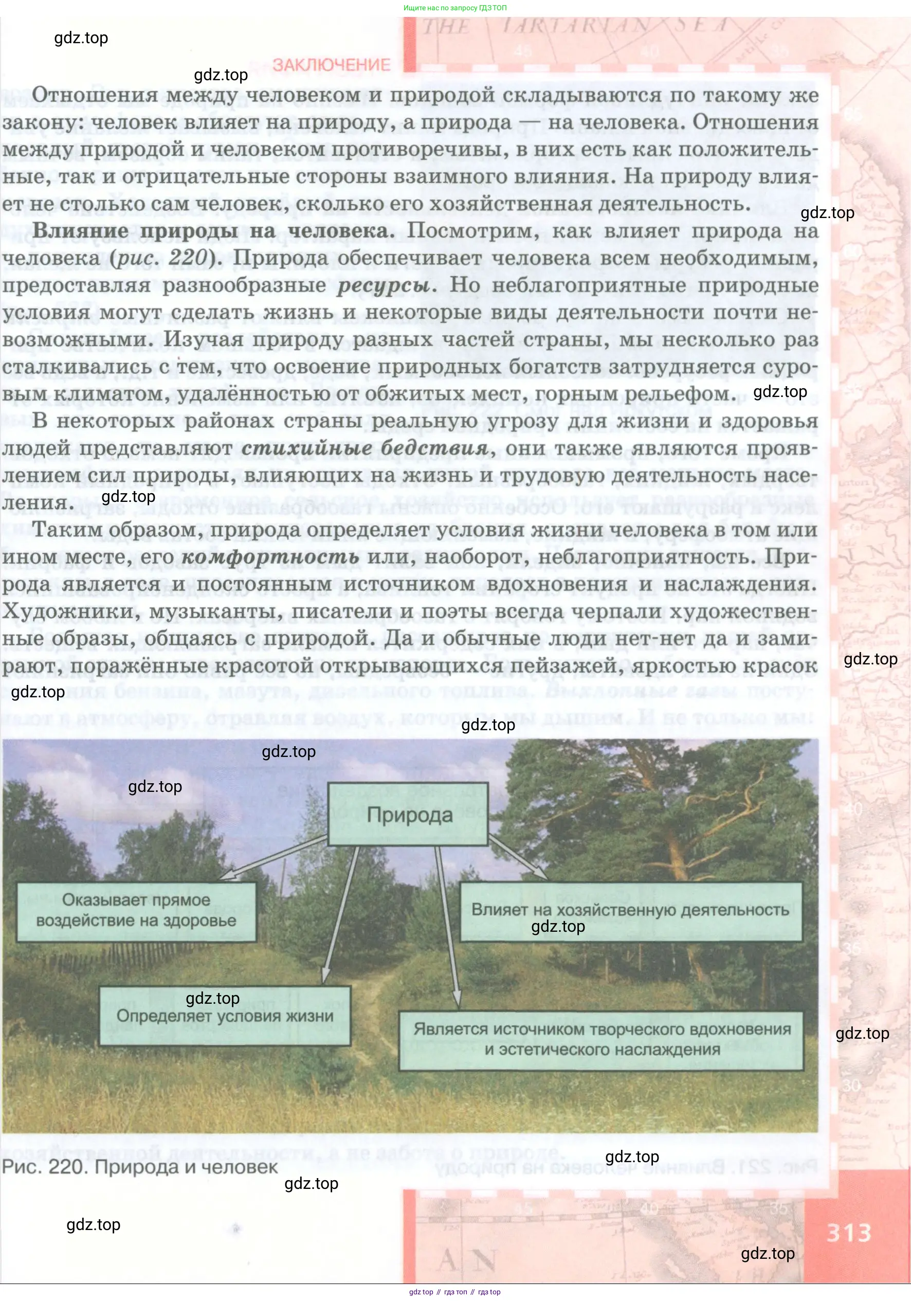 География, 8 класс Учебник, авторы: Домогацких Евгений Михайлович, Алексеевский Николай Иванович, издательство Русское слово, Москва, жёлтого цвета, страница 313