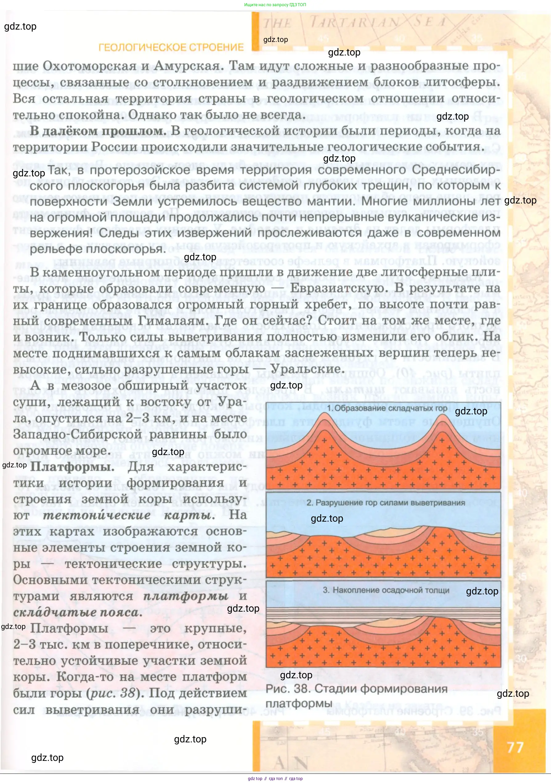 География, 8 класс Учебник, авторы: Домогацких Евгений Михайлович, Алексеевский Николай Иванович, издательство Русское слово, Москва, жёлтого цвета, страница 77