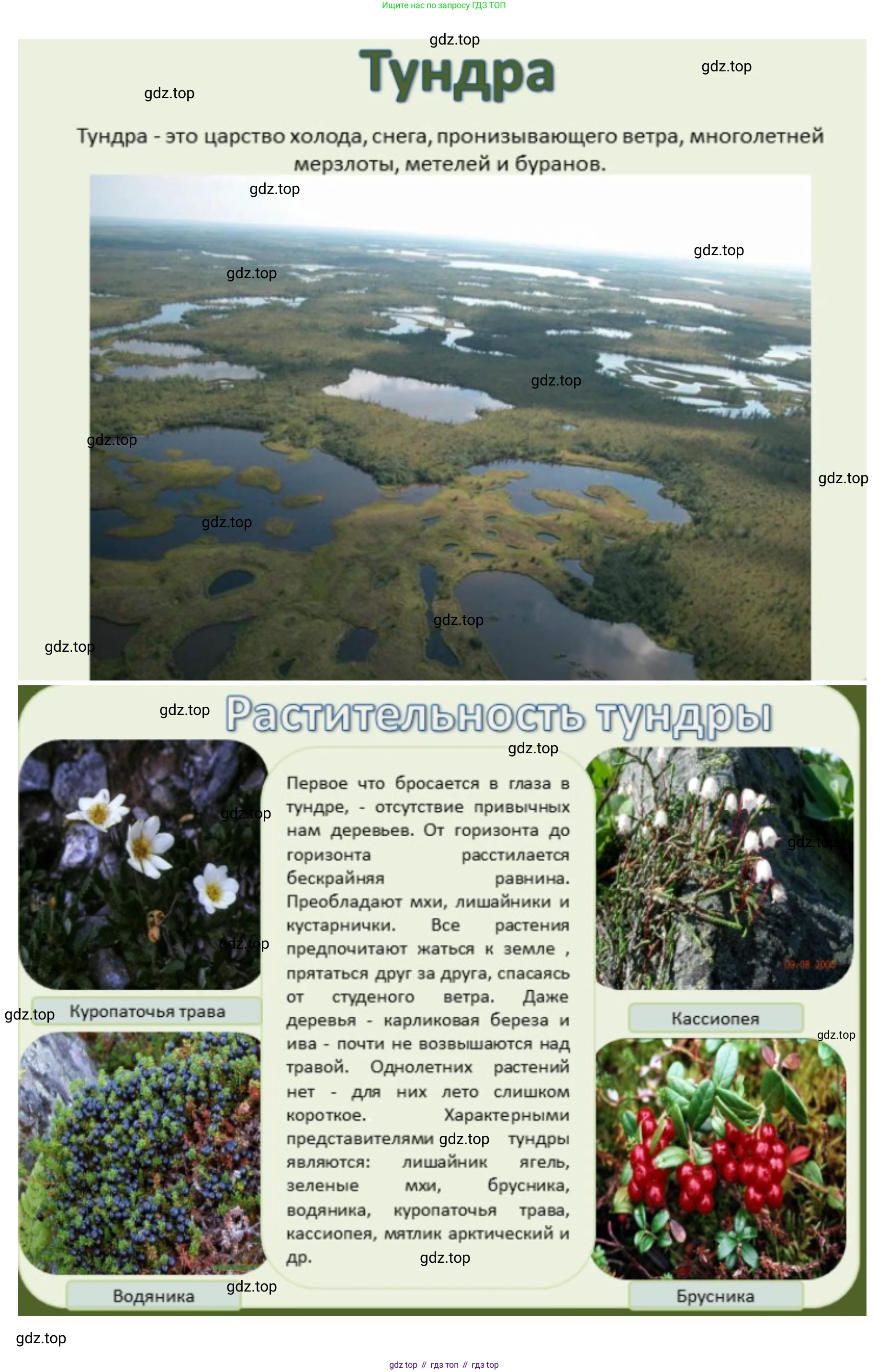 ГДЗ География, 8 класс Учебник, авторы: Домогацких Евгений Михайлович, Алексеевский Николай Иванович, издательство Русское слово, Москва, жёлтого цвета, страница 192, номер 2, Решение (продолжение 4)