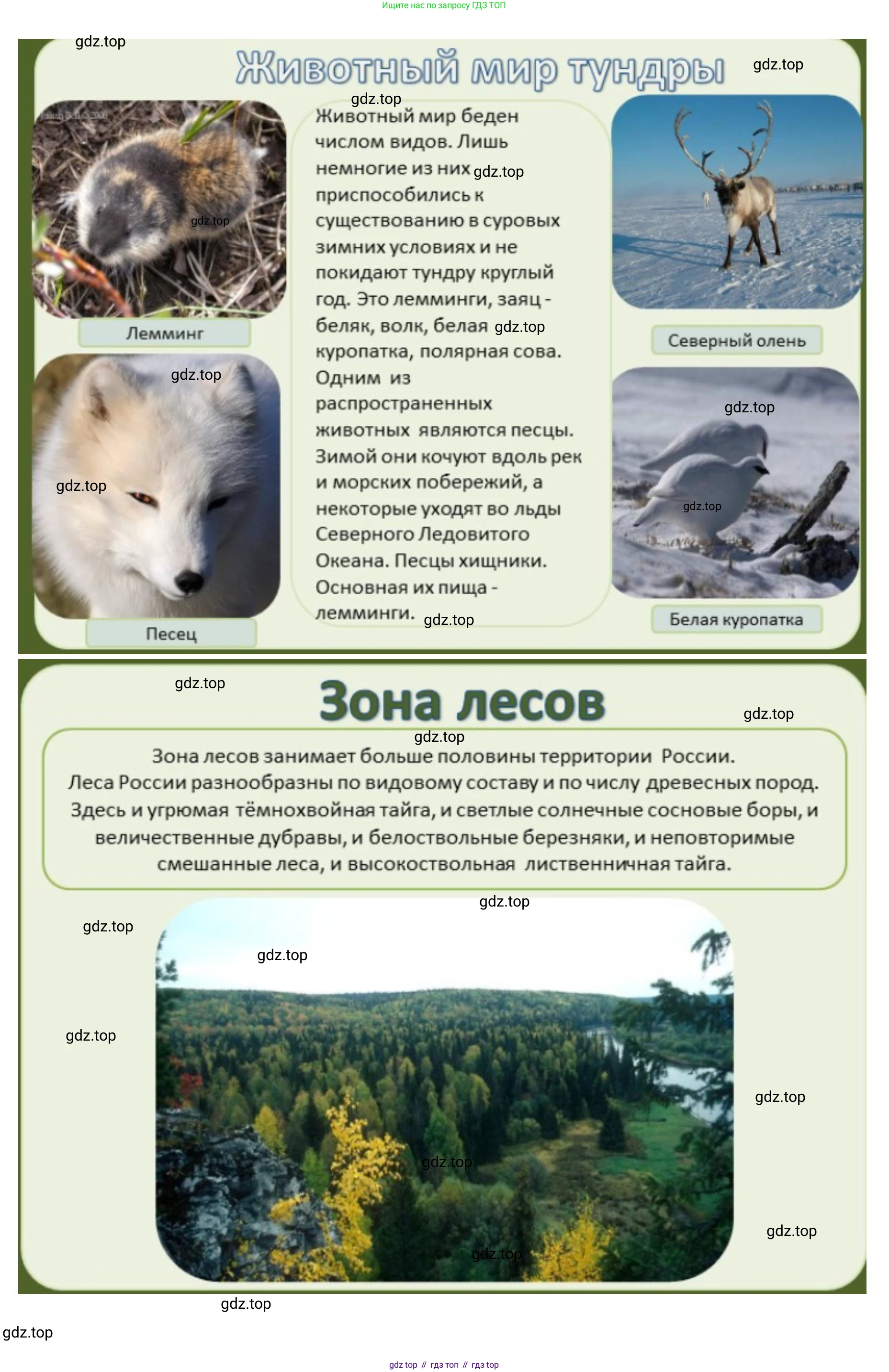 ГДЗ География, 8 класс Учебник, авторы: Домогацких Евгений Михайлович, Алексеевский Николай Иванович, издательство Русское слово, Москва, жёлтого цвета, страница 192, номер 2, Решение (продолжение 5)
