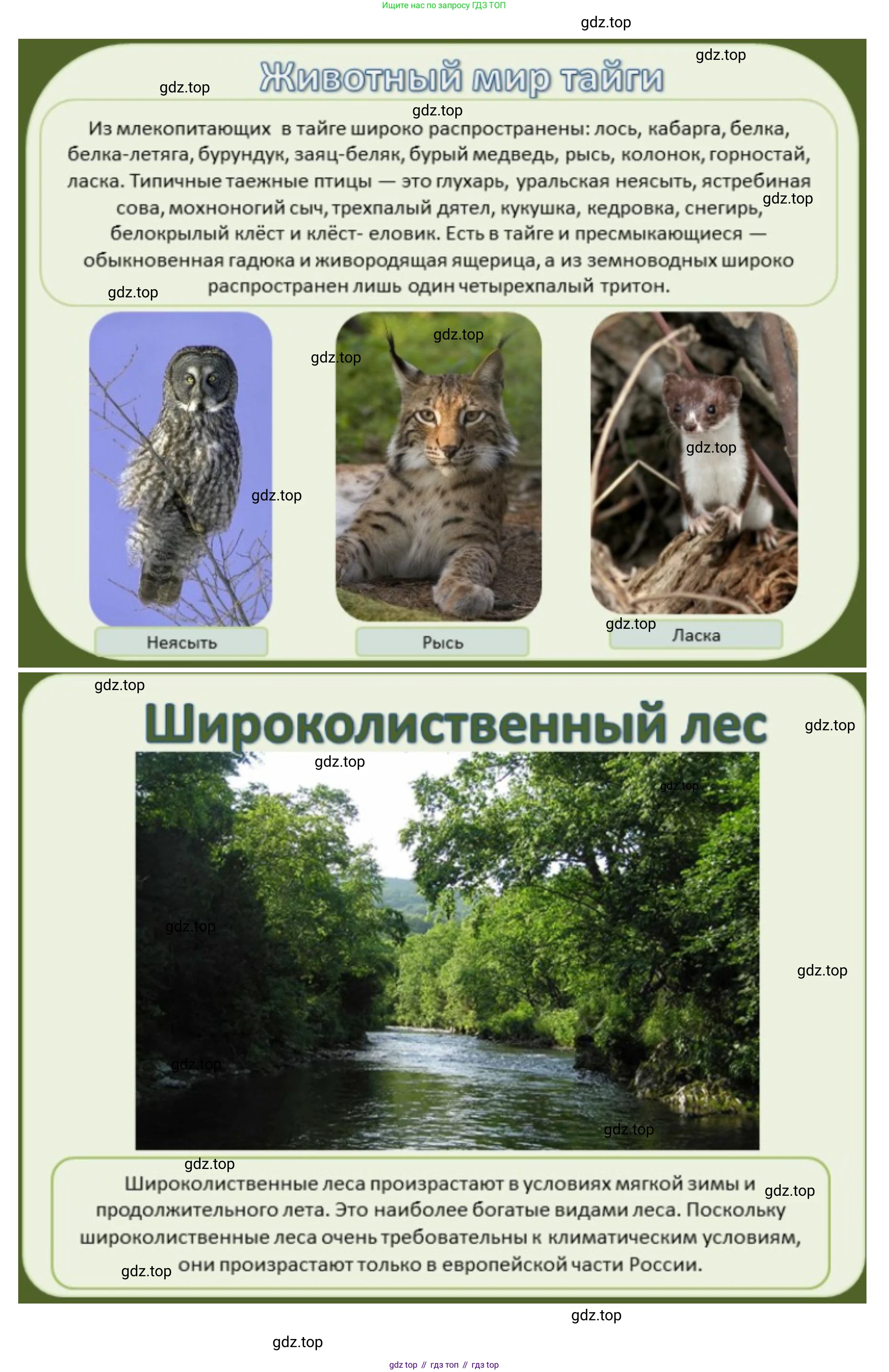 ГДЗ География, 8 класс Учебник, авторы: Домогацких Евгений Михайлович, Алексеевский Николай Иванович, издательство Русское слово, Москва, жёлтого цвета, страница 192, номер 2, Решение (продолжение 7)