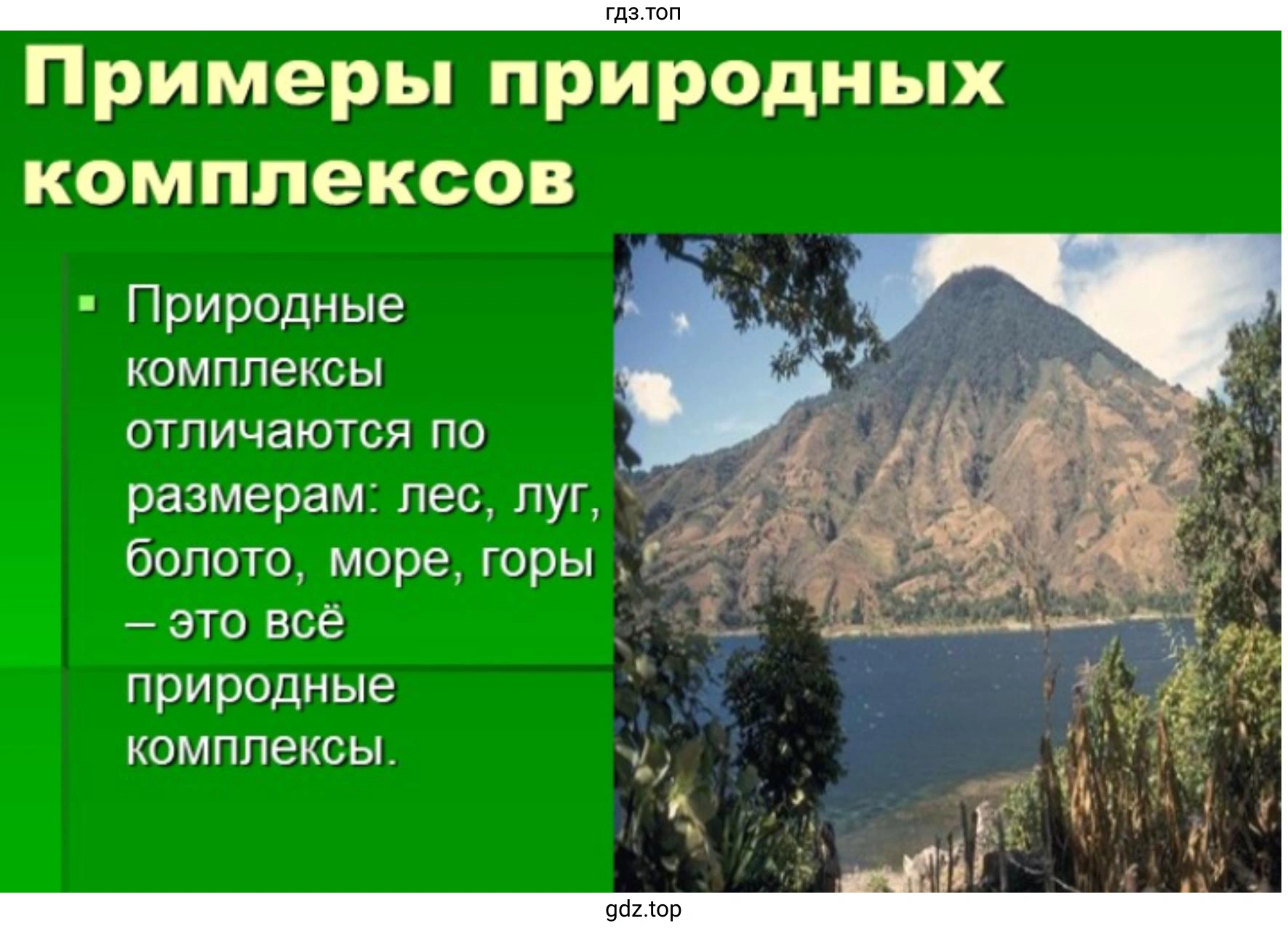 Слайд 3. Примеры природных комплексов