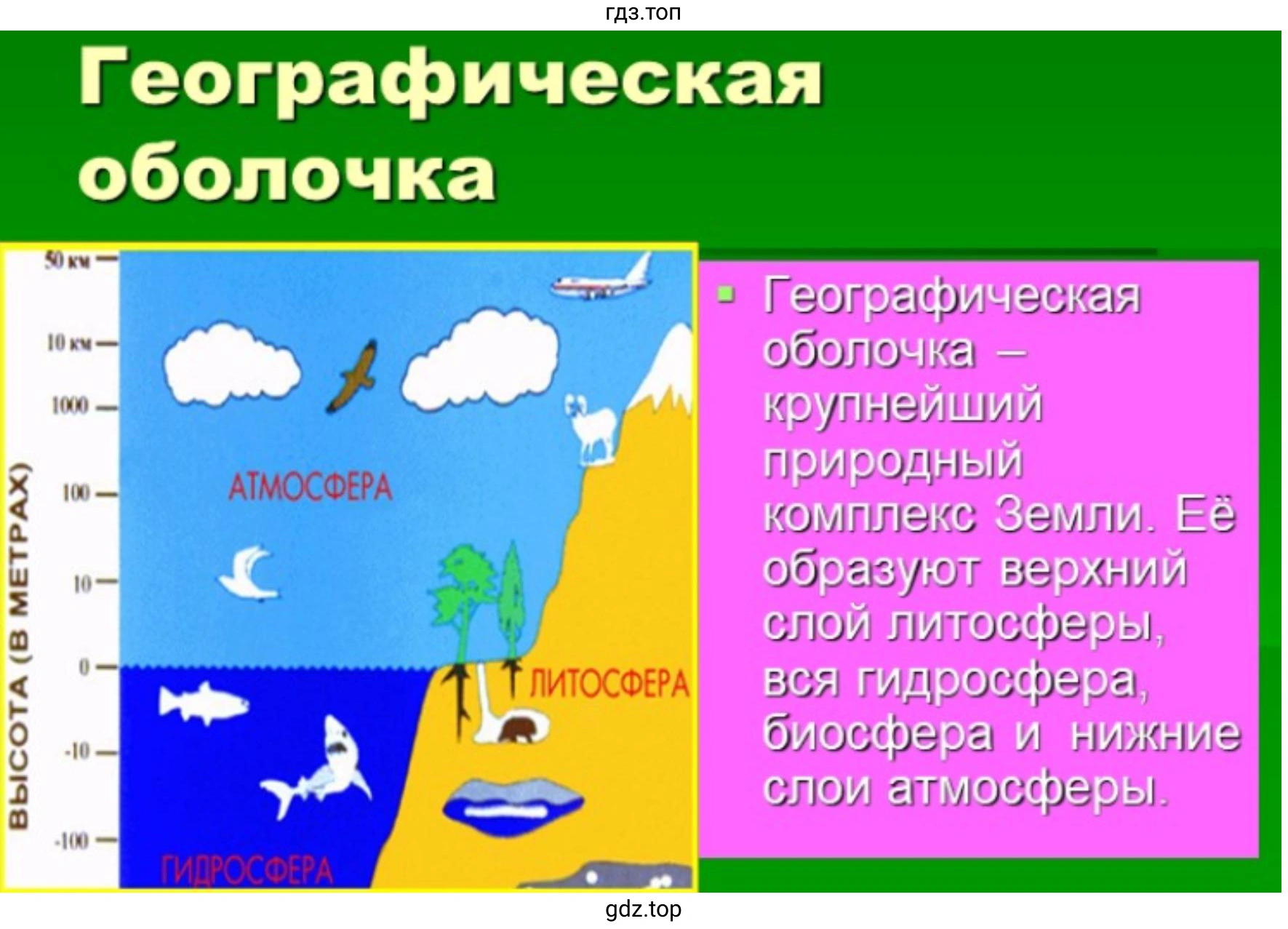 Слайд 4. Географическая оболочка