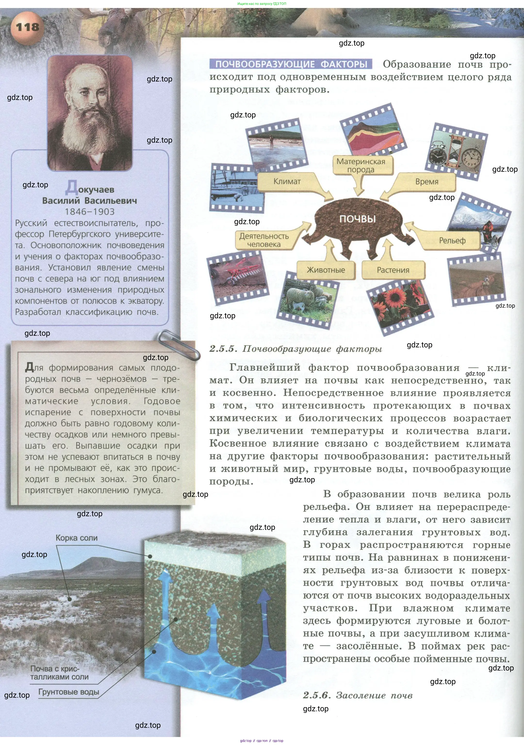 География, 8 класс Учебник, авторы: Дронов Виктор Павлович, Савельева Людмила Евгеньевна, издательство Просвещение, Москва, 2023, бирюзового цвета, страница 118