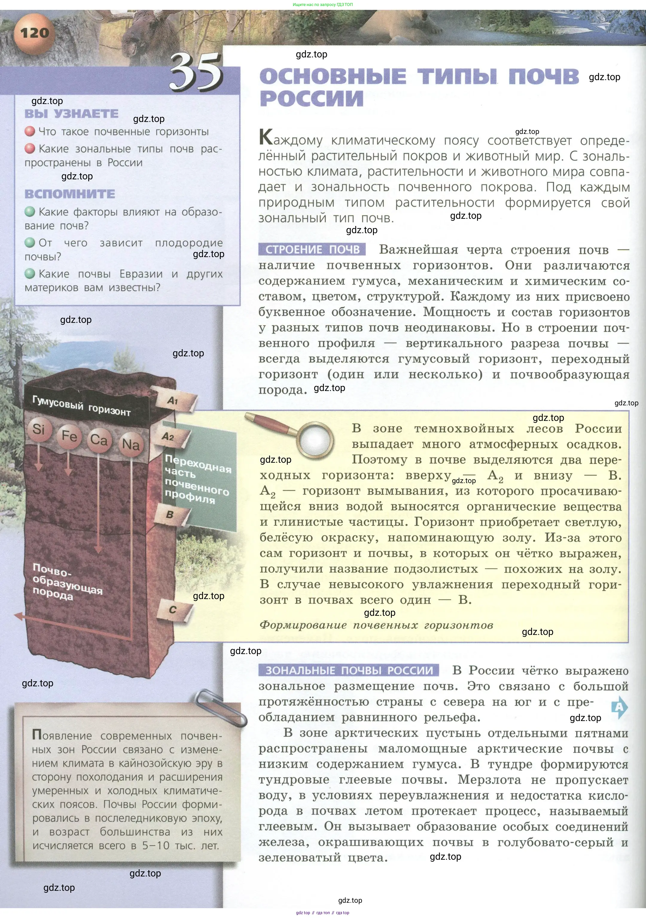 География, 8 класс Учебник, авторы: Дронов Виктор Павлович, Савельева Людмила Евгеньевна, издательство Просвещение, Москва, 2023, бирюзового цвета, страница 120