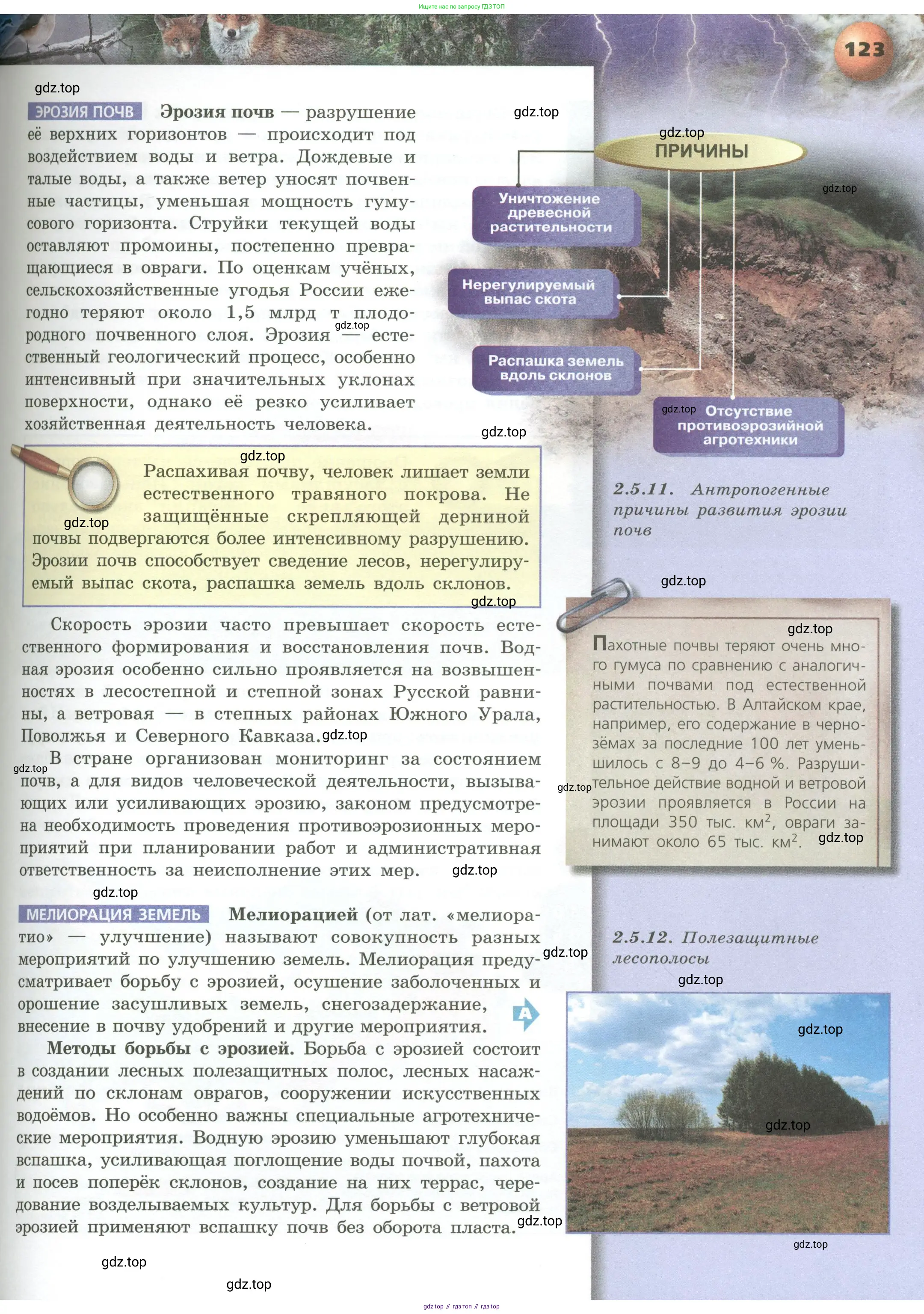География, 8 класс Учебник, авторы: Дронов Виктор Павлович, Савельева Людмила Евгеньевна, издательство Просвещение, Москва, 2023, бирюзового цвета, страница 123