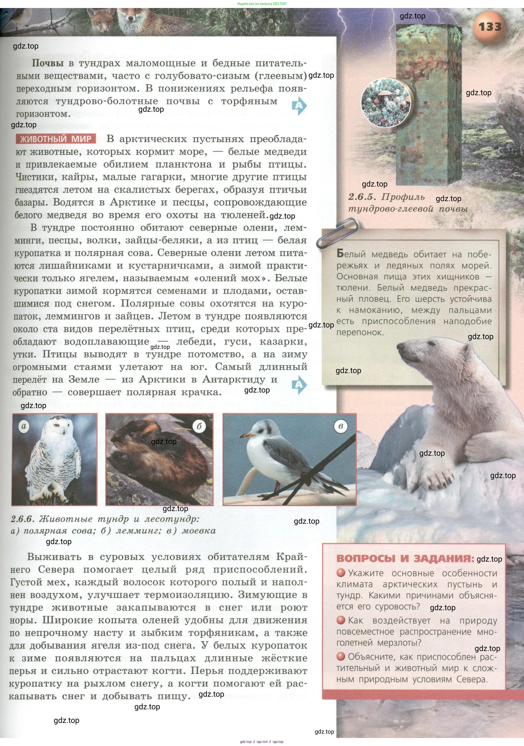 География, 8 класс Учебник, авторы: Дронов Виктор Павлович, Савельева Людмила Евгеньевна, издательство Просвещение, Москва, 2023, бирюзового цвета, страница 133