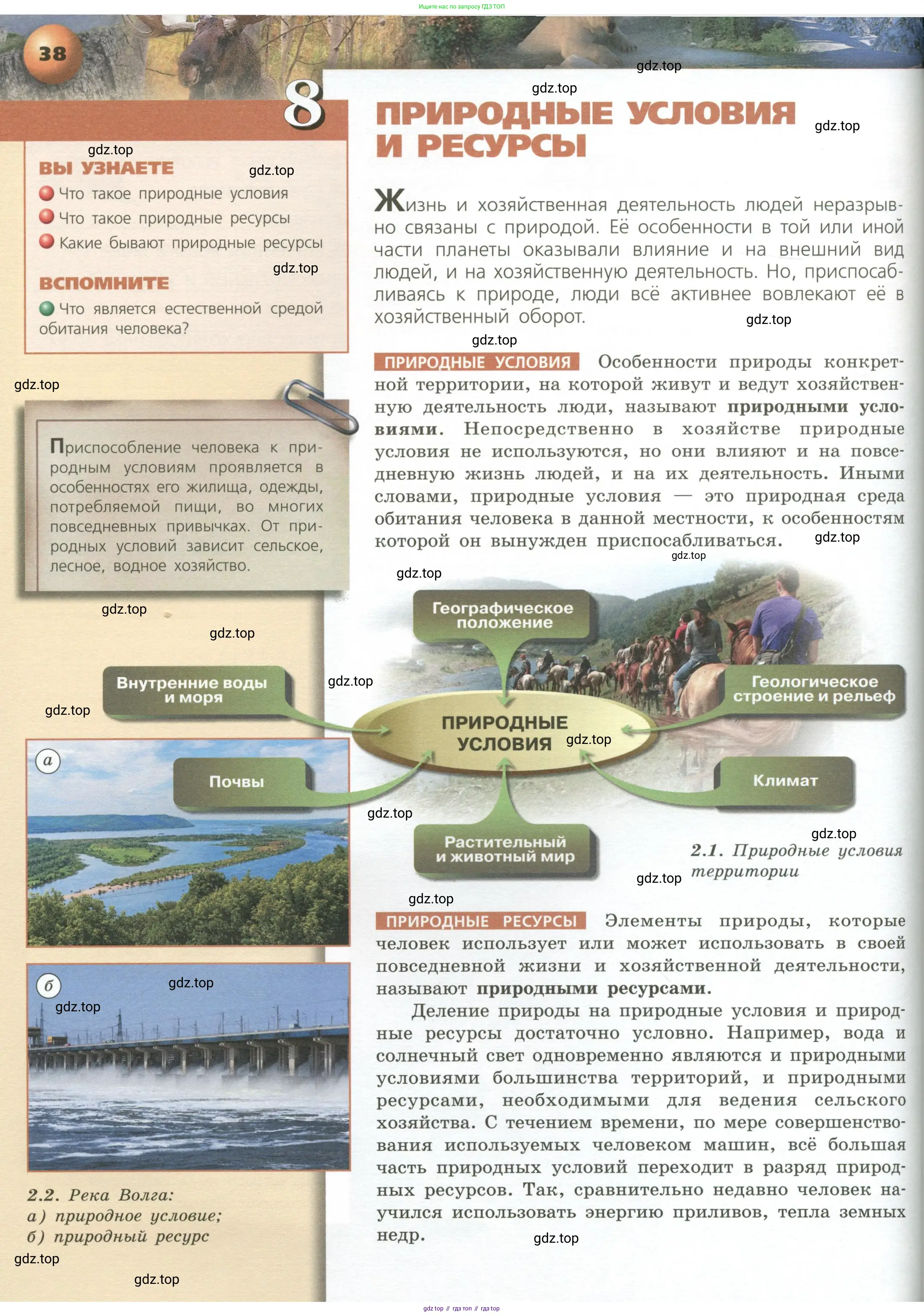 География, 8 класс Учебник, авторы: Дронов Виктор Павлович, Савельева Людмила Евгеньевна, издательство Просвещение, Москва, 2023, бирюзового цвета, страница 38