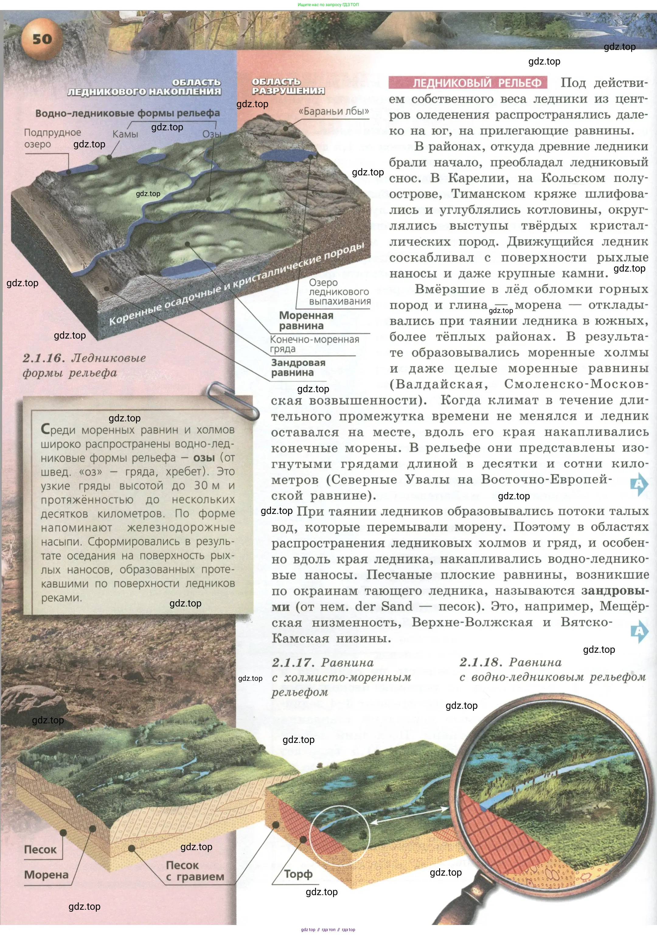 География, 8 класс Учебник, авторы: Дронов Виктор Павлович, Савельева Людмила Евгеньевна, издательство Просвещение, Москва, 2023, бирюзового цвета, страница 50