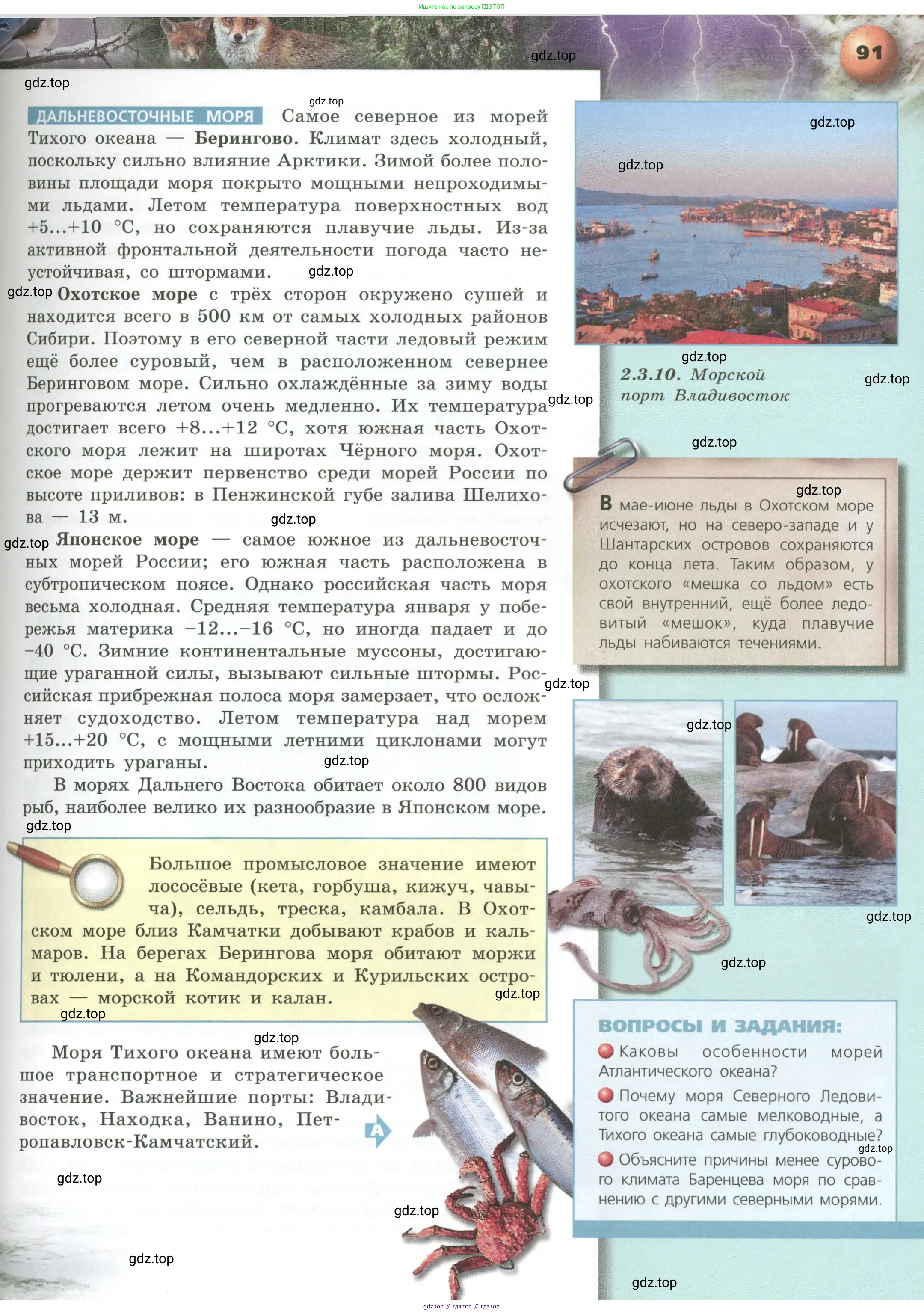 География, 8 класс Учебник, авторы: Дронов Виктор Павлович, Савельева Людмила Евгеньевна, издательство Просвещение, Москва, 2023, бирюзового цвета, страница 91