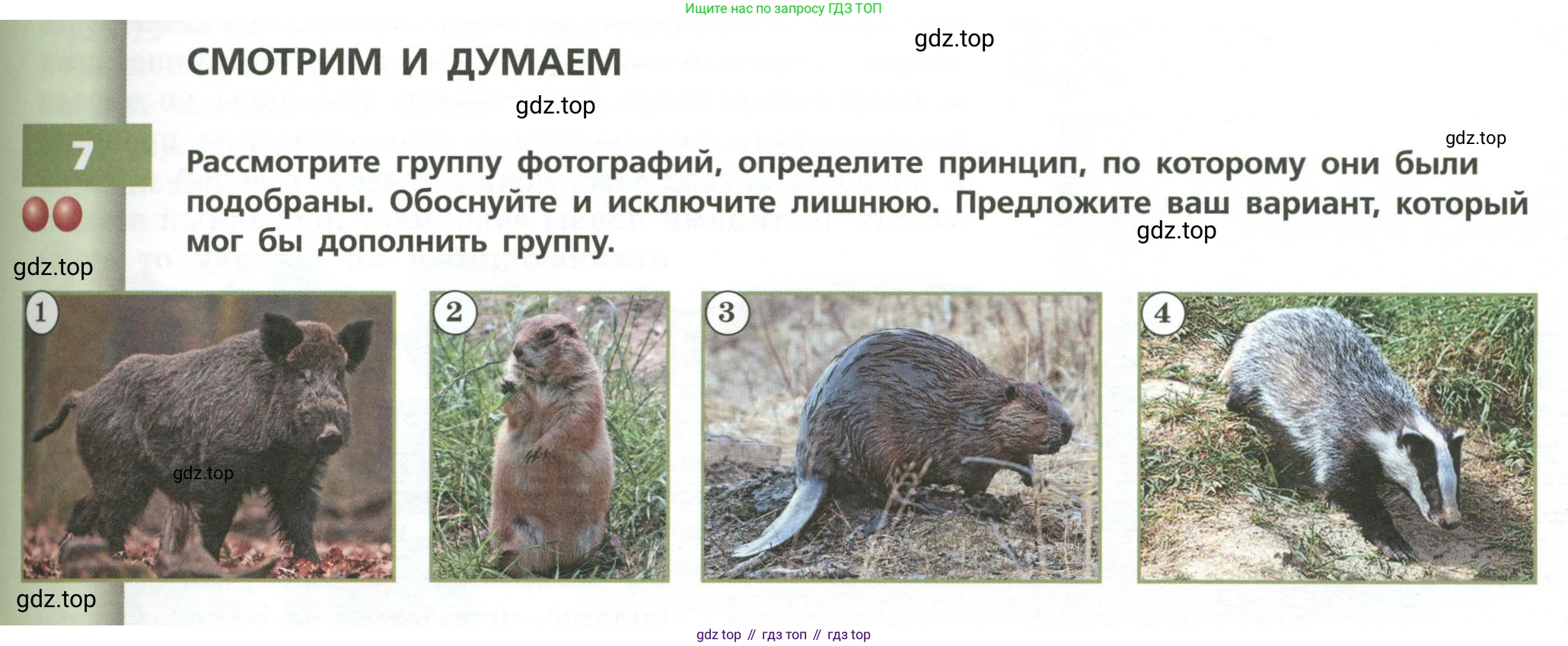 География, 8 класс Учебник, авторы: Дронов Виктор Павлович, Савельева Людмила Евгеньевна, издательство Просвещение, Москва, 2023, бирюзового цвета, страница 115, номер 7, Условие