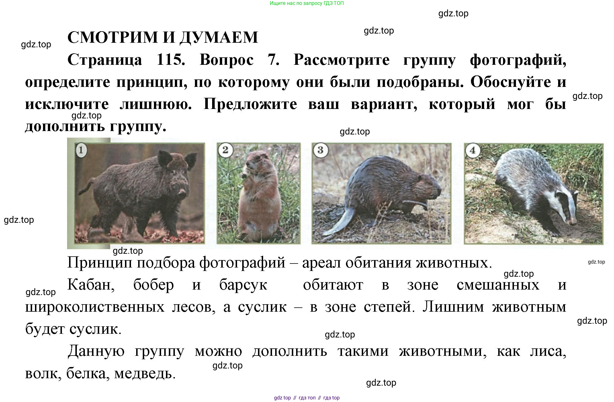 География, 8 класс Учебник, авторы: Дронов Виктор Павлович, Савельева Людмила Евгеньевна, издательство Просвещение, Москва, 2023, бирюзового цвета, страница 115, номер 7, Решение