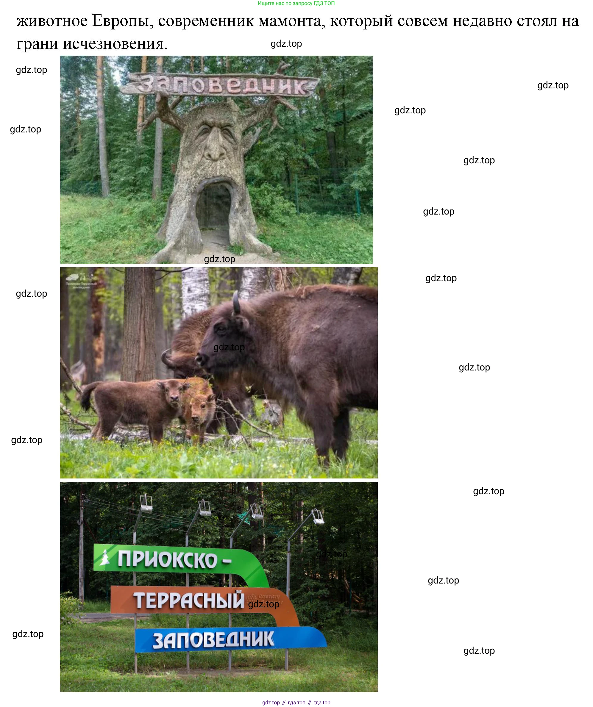 География, 8 класс Учебник, авторы: Дронов Виктор Павлович, Савельева Людмила Евгеньевна, издательство Просвещение, Москва, 2023, бирюзового цвета, страница 157, номер 2, Решение (продолжение 2)