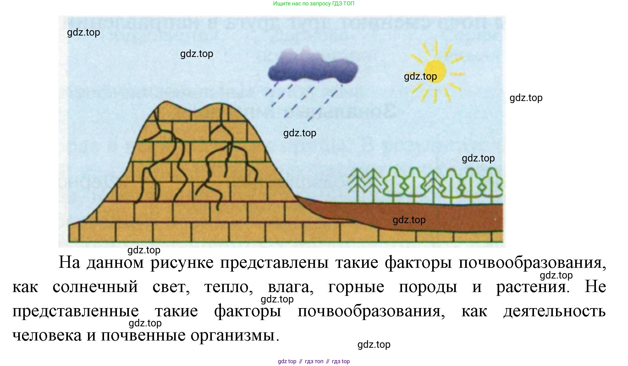 ГДЗ География, 8 класс Учебник, авторы: Пятунин Владимир Борисович, Таможняя Елена Александровна, издательство Просвещение, Москва, 2021, оранжевого цвета, страница 151, номер 3, Решение (продолжение 2)