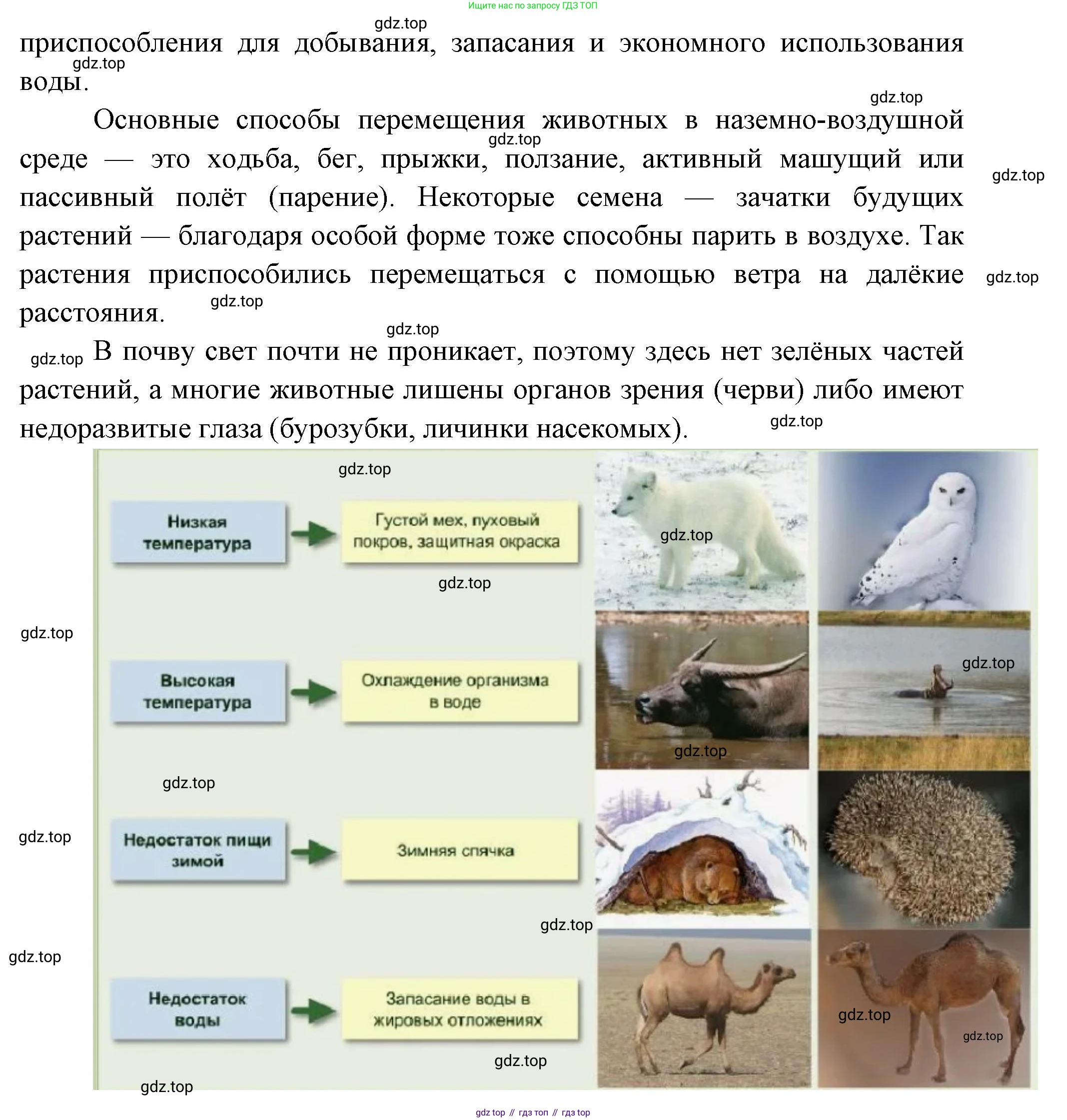 ГДЗ География, 8 класс Учебник, авторы: Пятунин Владимир Борисович, Таможняя Елена Александровна, издательство Просвещение, Москва, 2021, оранжевого цвета, страница 163, Решение (продолжение 2)