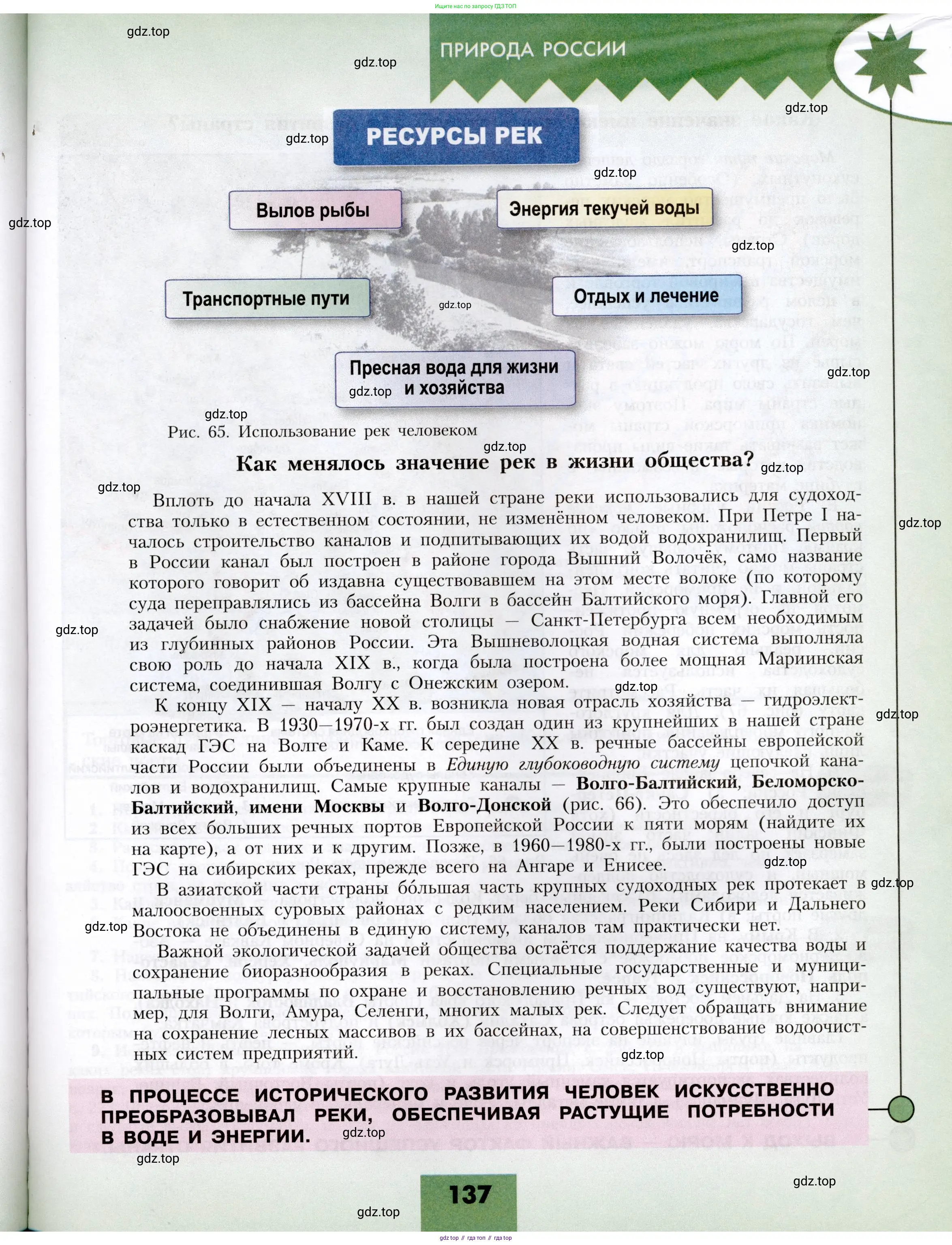География, 8 класс Учебник, авторы: Алексеев Александр Иванович, Николина Вера Викторовна, Липкина Елена Карловна, Болысов Сергей Иванович, Кузнецова Галина Юрьевна, издательство Просвещение, Москва, 2023, жёлтого цвета, страница 137