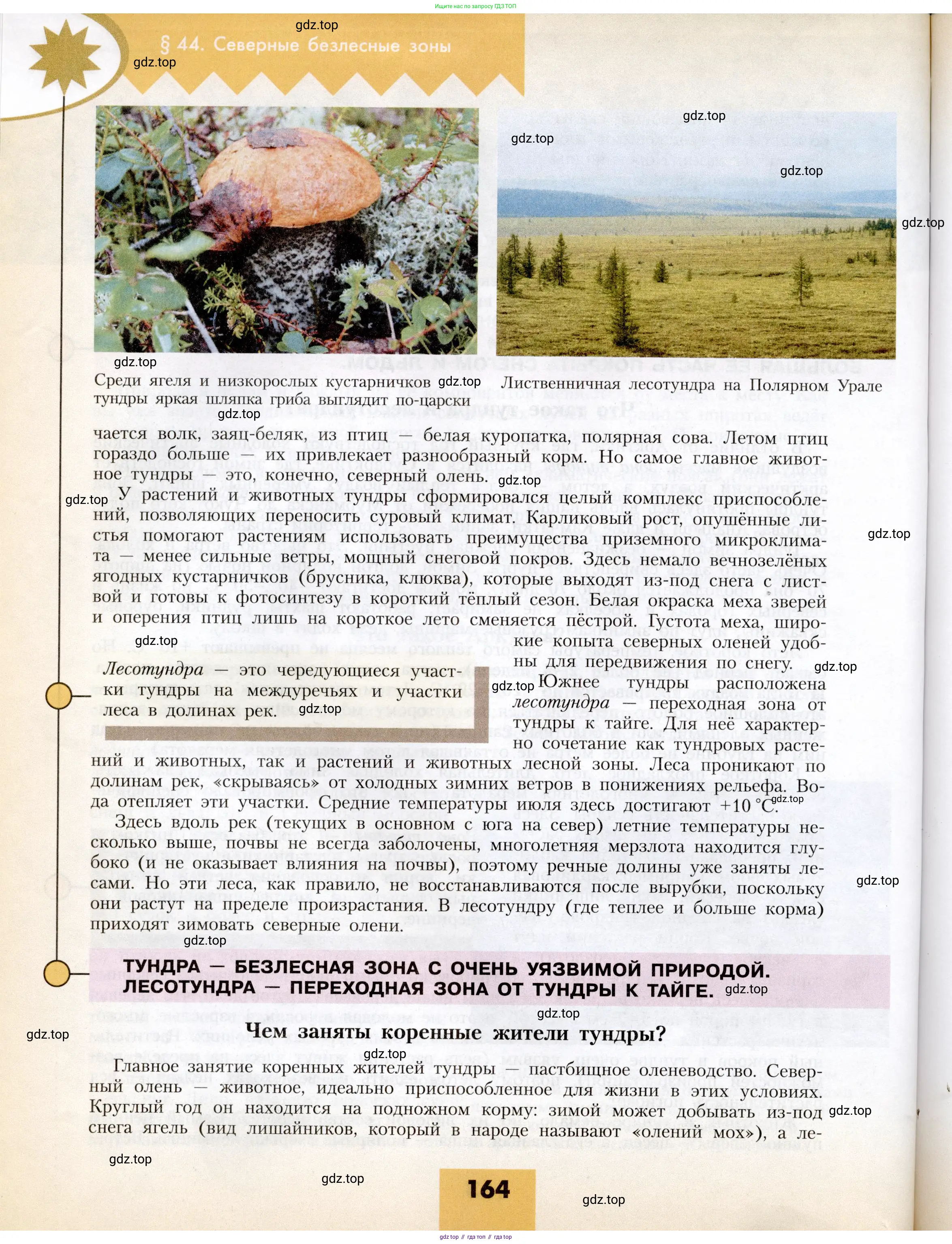 География, 8 класс Учебник, авторы: Алексеев Александр Иванович, Николина Вера Викторовна, Липкина Елена Карловна, Болысов Сергей Иванович, Кузнецова Галина Юрьевна, издательство Просвещение, Москва, 2023, жёлтого цвета, страница 164