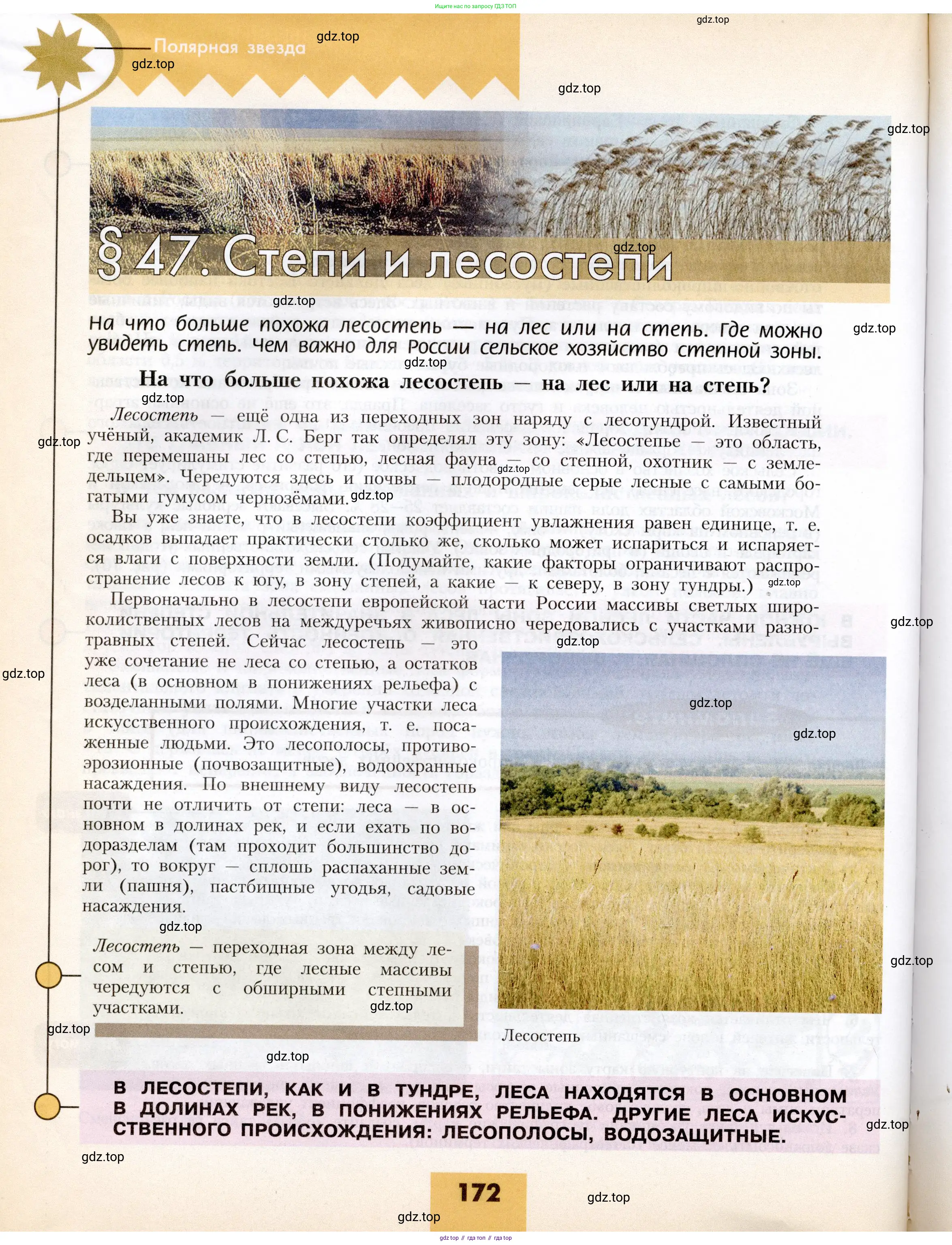 География, 8 класс Учебник, авторы: Алексеев Александр Иванович, Николина Вера Викторовна, Липкина Елена Карловна, Болысов Сергей Иванович, Кузнецова Галина Юрьевна, издательство Просвещение, Москва, 2023, жёлтого цвета, страница 172