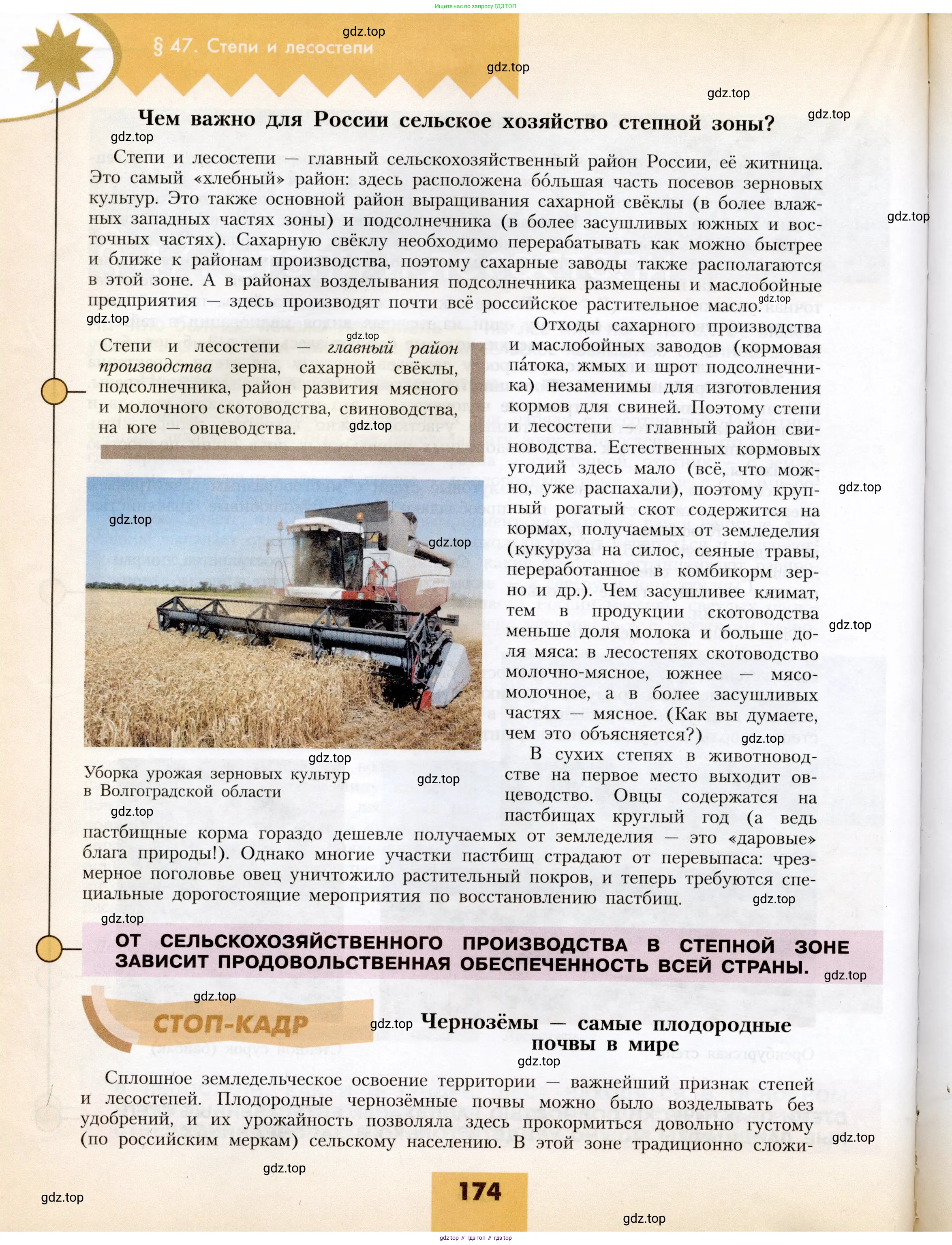 География, 8 класс Учебник, авторы: Алексеев Александр Иванович, Николина Вера Викторовна, Липкина Елена Карловна, Болысов Сергей Иванович, Кузнецова Галина Юрьевна, издательство Просвещение, Москва, 2023, жёлтого цвета, страница 174