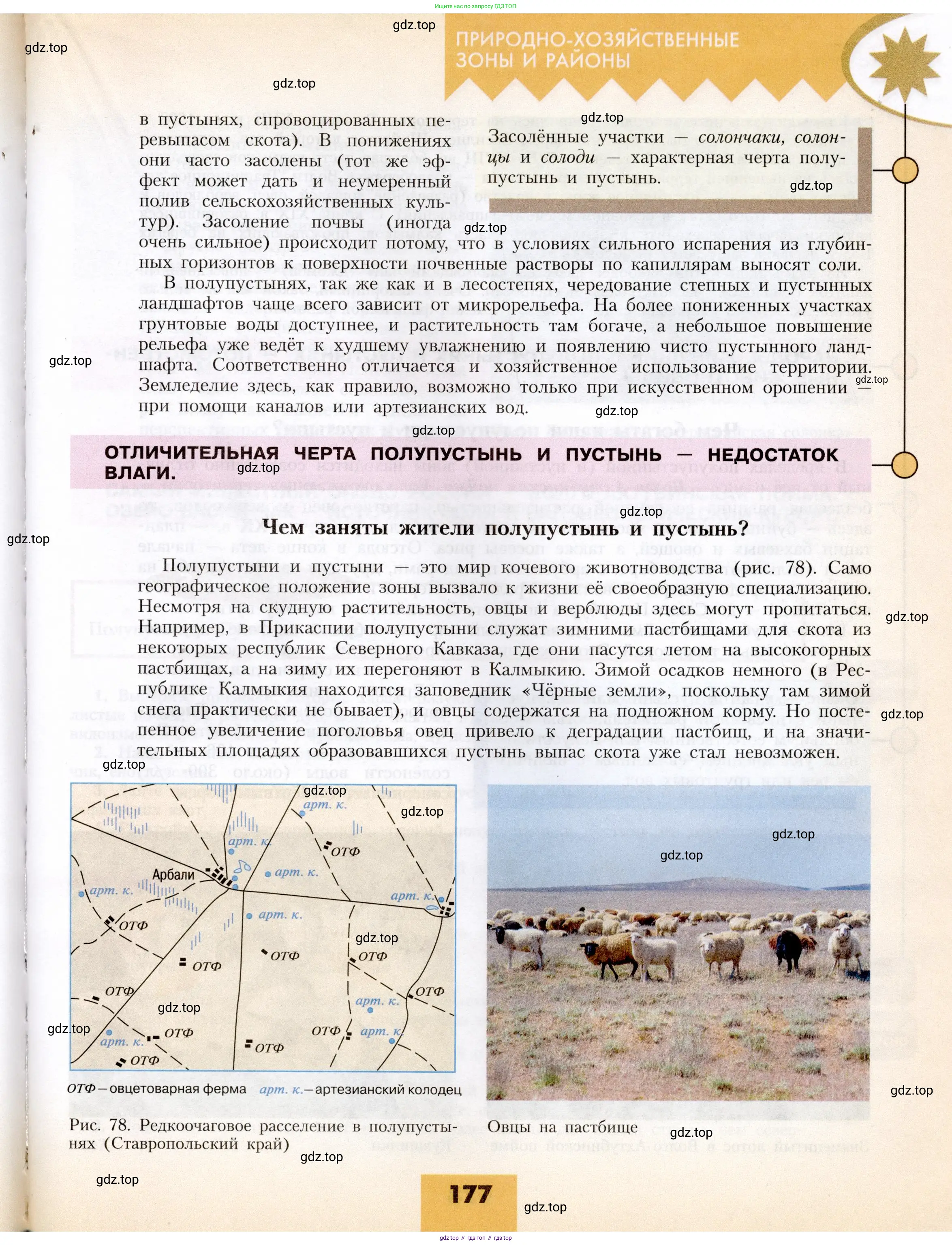 География, 8 класс Учебник, авторы: Алексеев Александр Иванович, Николина Вера Викторовна, Липкина Елена Карловна, Болысов Сергей Иванович, Кузнецова Галина Юрьевна, издательство Просвещение, Москва, 2023, жёлтого цвета, страница 177