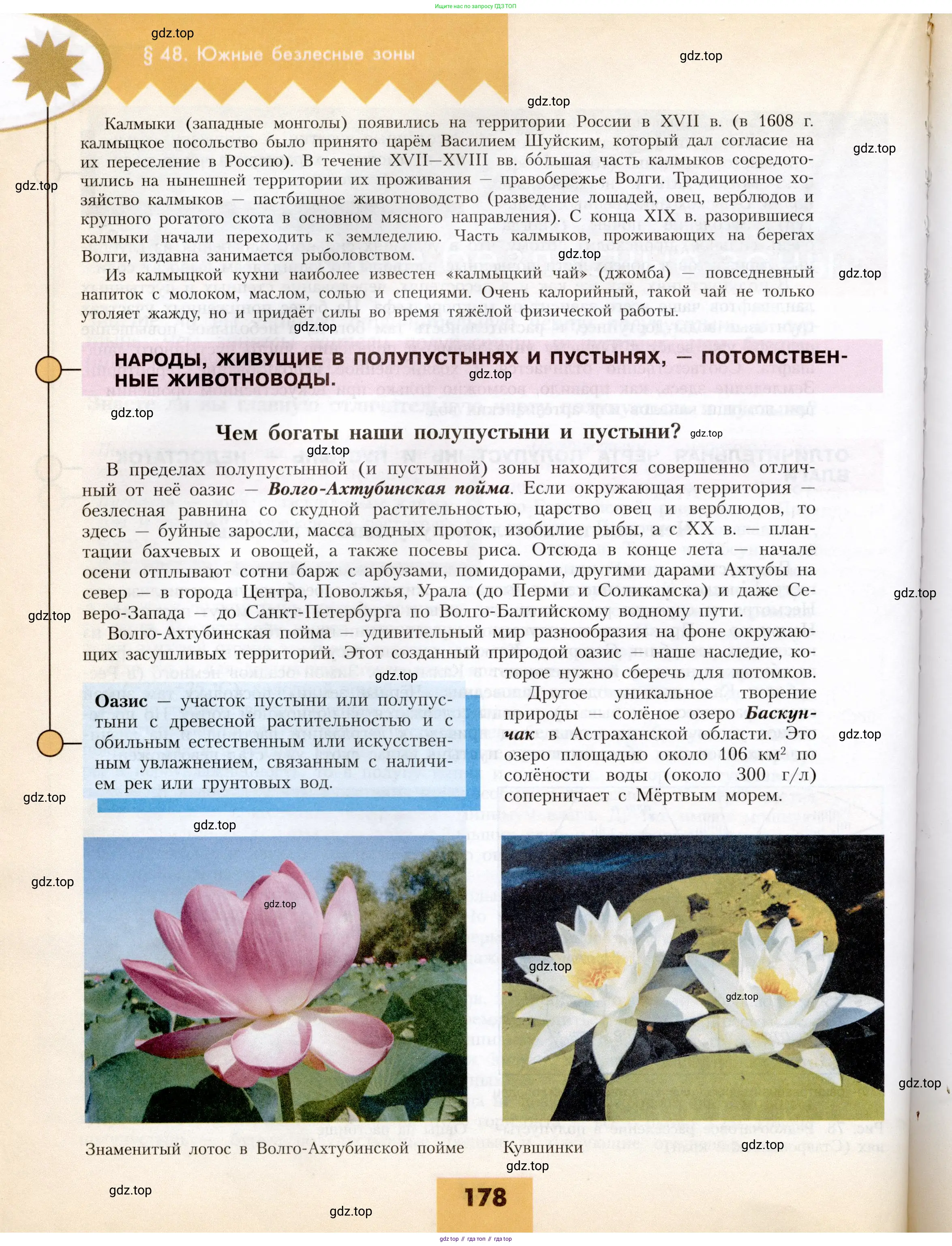 География, 8 класс Учебник, авторы: Алексеев Александр Иванович, Николина Вера Викторовна, Липкина Елена Карловна, Болысов Сергей Иванович, Кузнецова Галина Юрьевна, издательство Просвещение, Москва, 2023, жёлтого цвета, страница 178