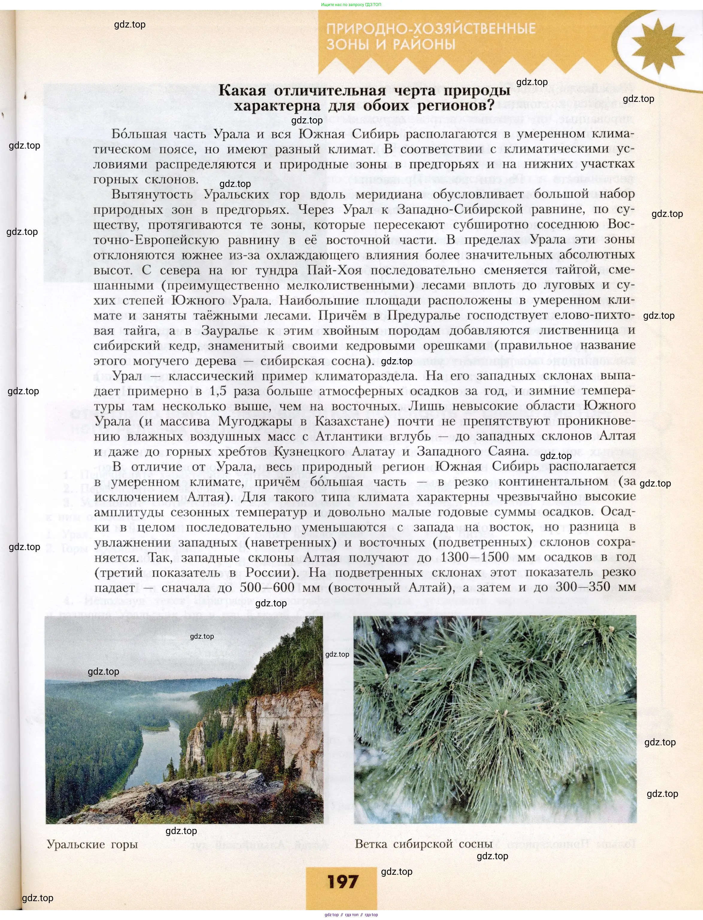 География, 8 класс Учебник, авторы: Алексеев Александр Иванович, Николина Вера Викторовна, Липкина Елена Карловна, Болысов Сергей Иванович, Кузнецова Галина Юрьевна, издательство Просвещение, Москва, 2023, жёлтого цвета, страница 197