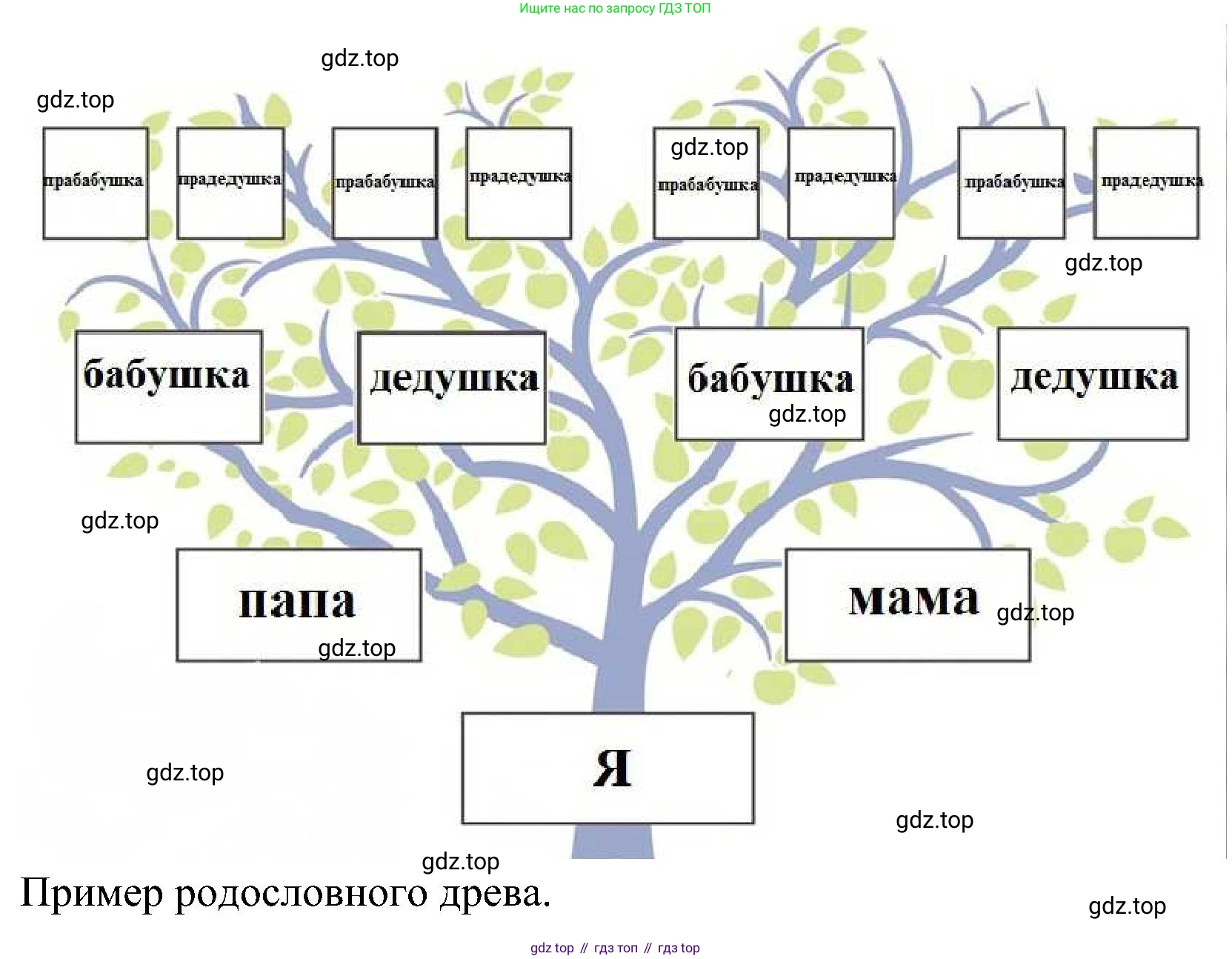 География, 8 класс Учебник, авторы: Алексеев Александр Иванович, Николина Вера Викторовна, Липкина Елена Карловна, Болысов Сергей Иванович, Кузнецова Галина Юрьевна, издательство Просвещение, Москва, 2023, жёлтого цвета, страница 76, Решение (продолжение 2)