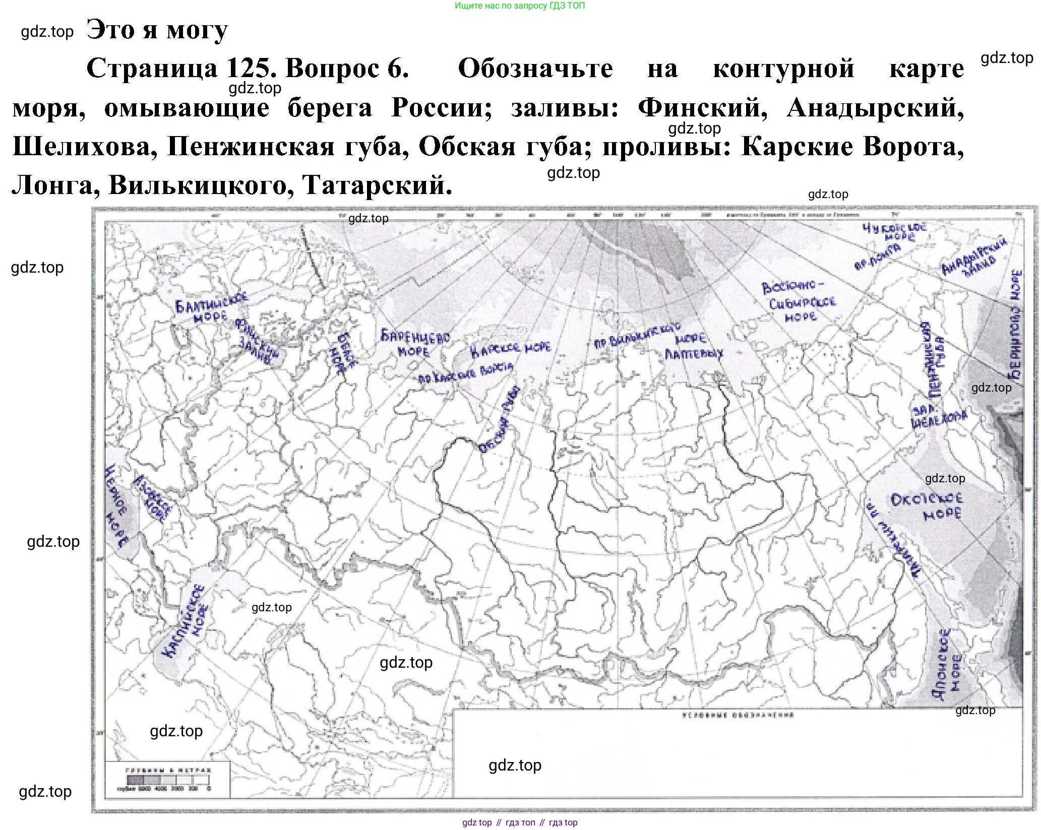 География, 8 класс Учебник, авторы: Алексеев Александр Иванович, Николина Вера Викторовна, Липкина Елена Карловна, Болысов Сергей Иванович, Кузнецова Галина Юрьевна, издательство Просвещение, Москва, 2023, жёлтого цвета, страница 125, номер 6, Решение