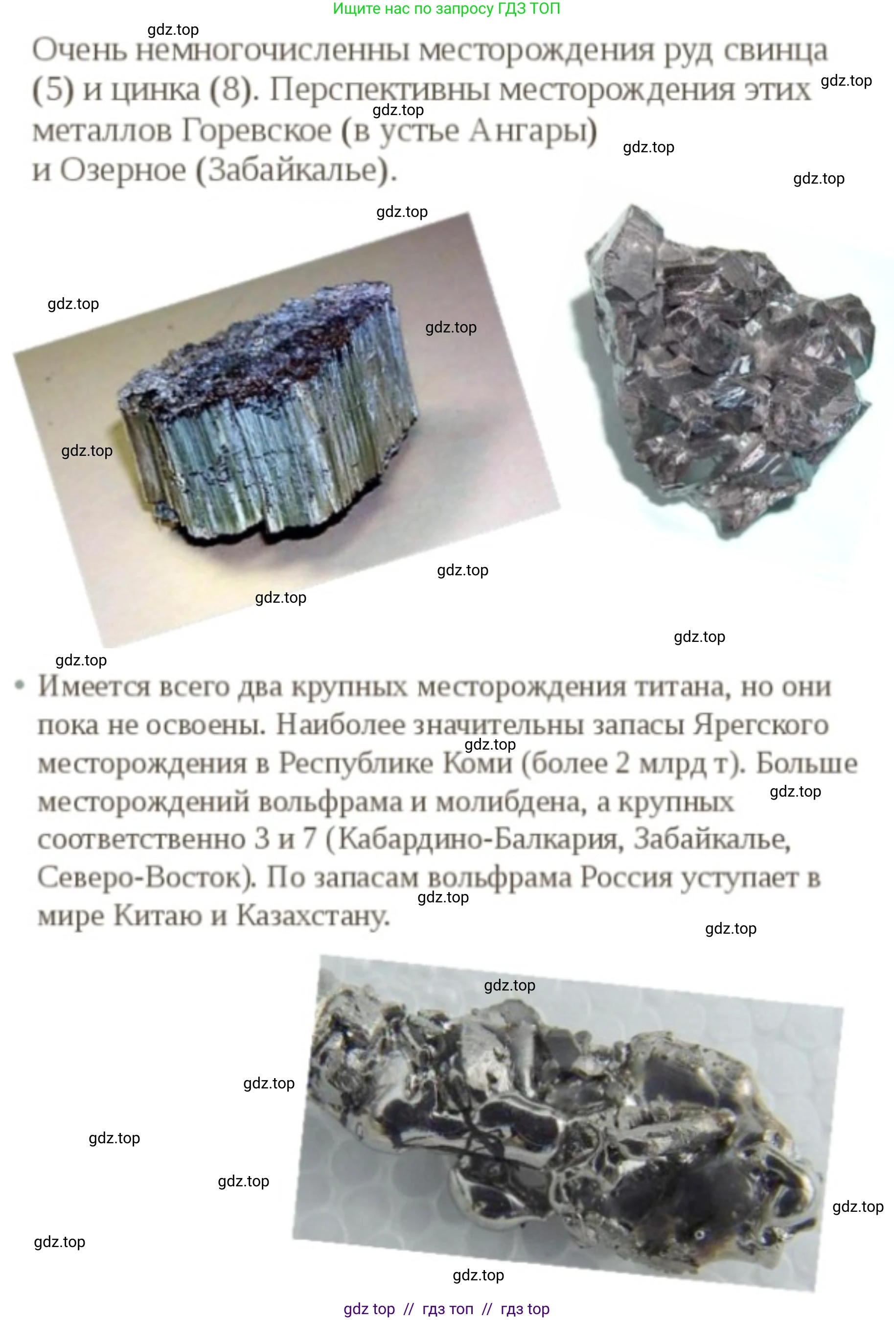 География, 8 класс Учебник, авторы: Алексеев Александр Иванович, Николина Вера Викторовна, Липкина Елена Карловна, Болысов Сергей Иванович, Кузнецова Галина Юрьевна, издательство Просвещение, Москва, 2023, жёлтого цвета, страница 98, номер 3, Решение2 (продолжение 5)