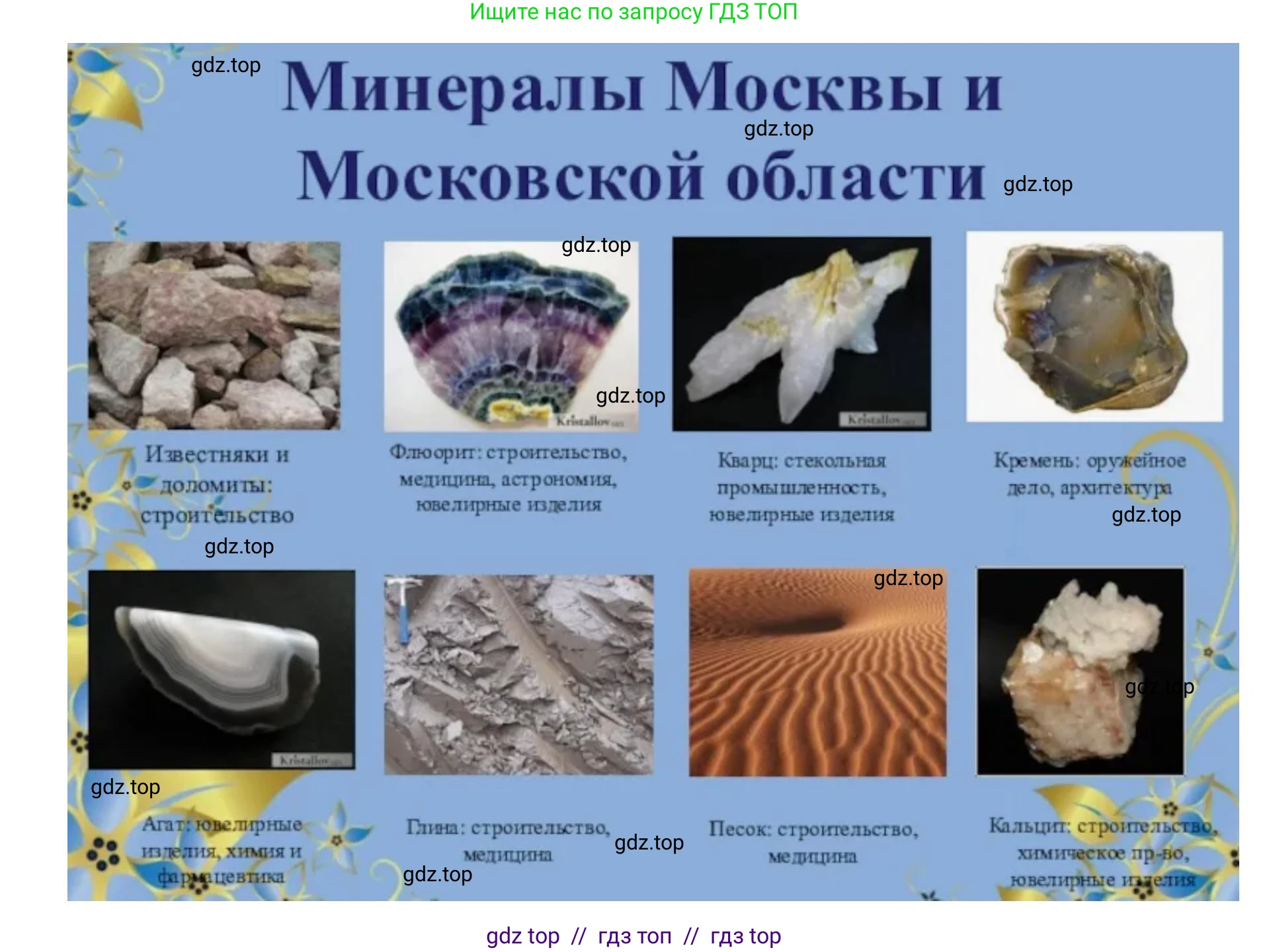 География, 8 класс Учебник, авторы: Алексеев Александр Иванович, Николина Вера Викторовна, Липкина Елена Карловна, Болысов Сергей Иванович, Кузнецова Галина Юрьевна, издательство Просвещение, Москва, 2023, жёлтого цвета, страница 98, номер 5, Решение2 (продолжение 3)