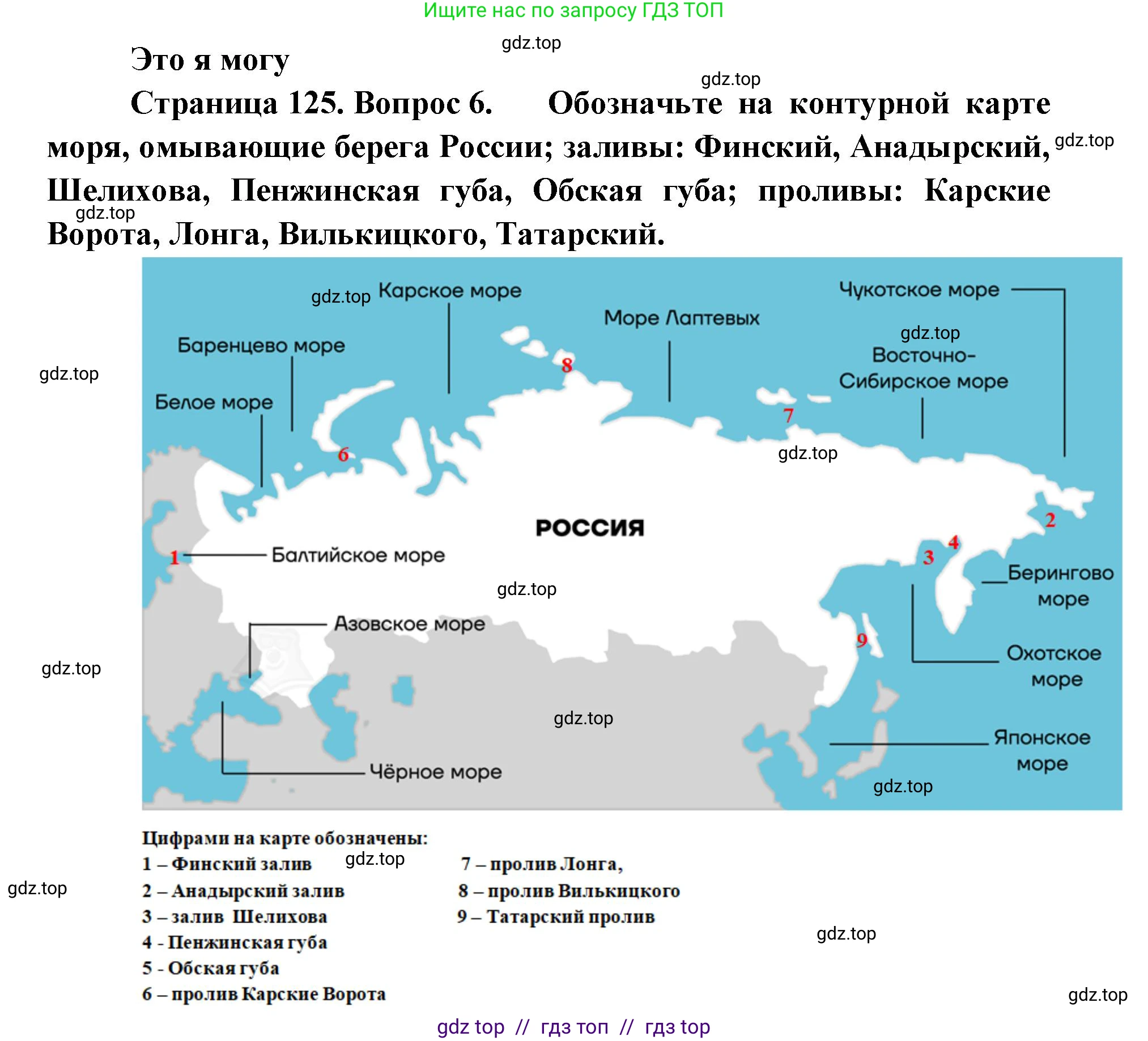 География, 8 класс Учебник, авторы: Алексеев Александр Иванович, Николина Вера Викторовна, Липкина Елена Карловна, Болысов Сергей Иванович, Кузнецова Галина Юрьевна, издательство Просвещение, Москва, 2023, жёлтого цвета, страница 125, номер 6, Решение2