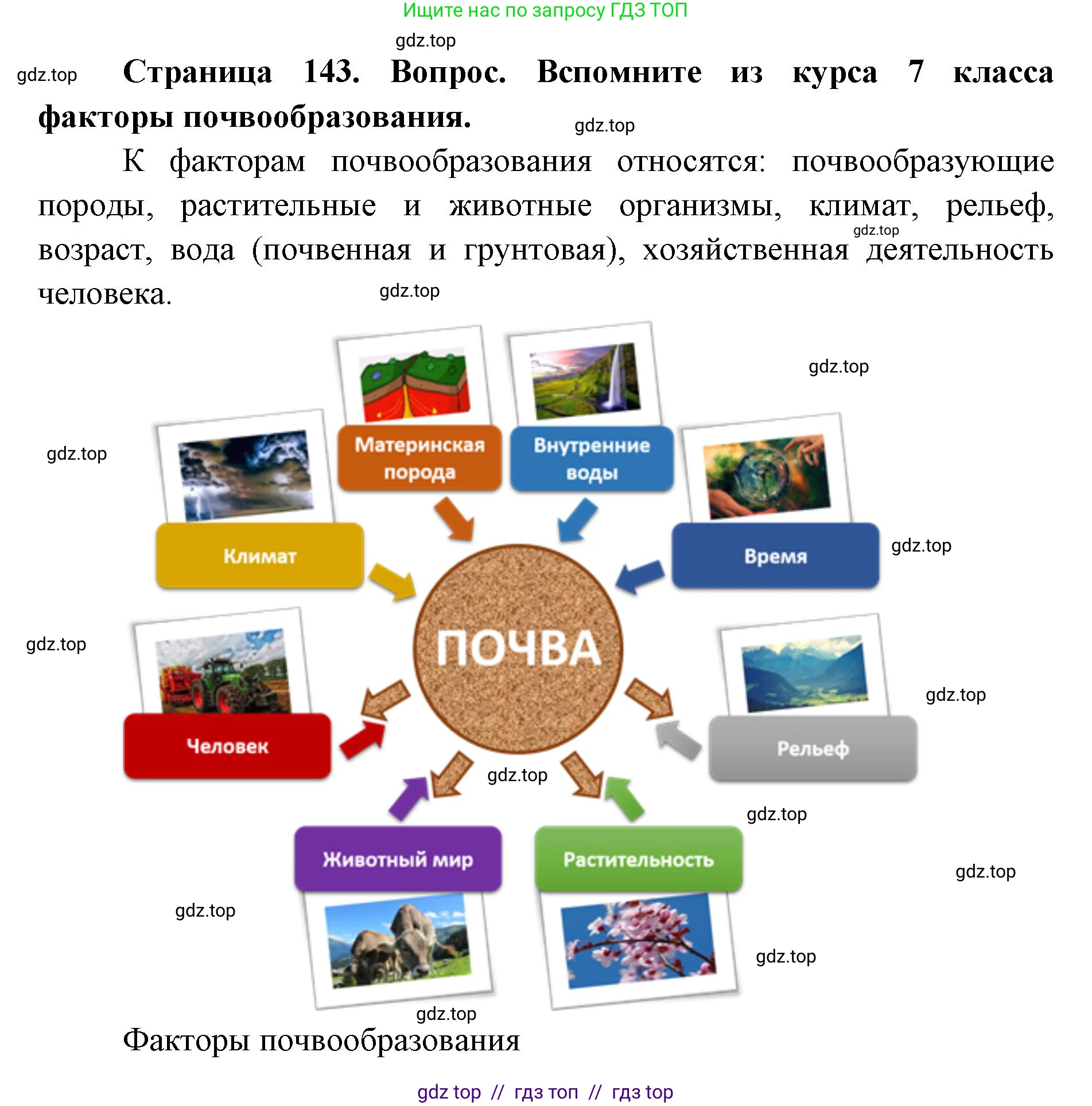 География, 8 класс Учебник, авторы: Алексеев Александр Иванович, Николина Вера Викторовна, Липкина Елена Карловна, Болысов Сергей Иванович, Кузнецова Галина Юрьевна, издательство Просвещение, Москва, 2023, жёлтого цвета, страница 143, Решение2