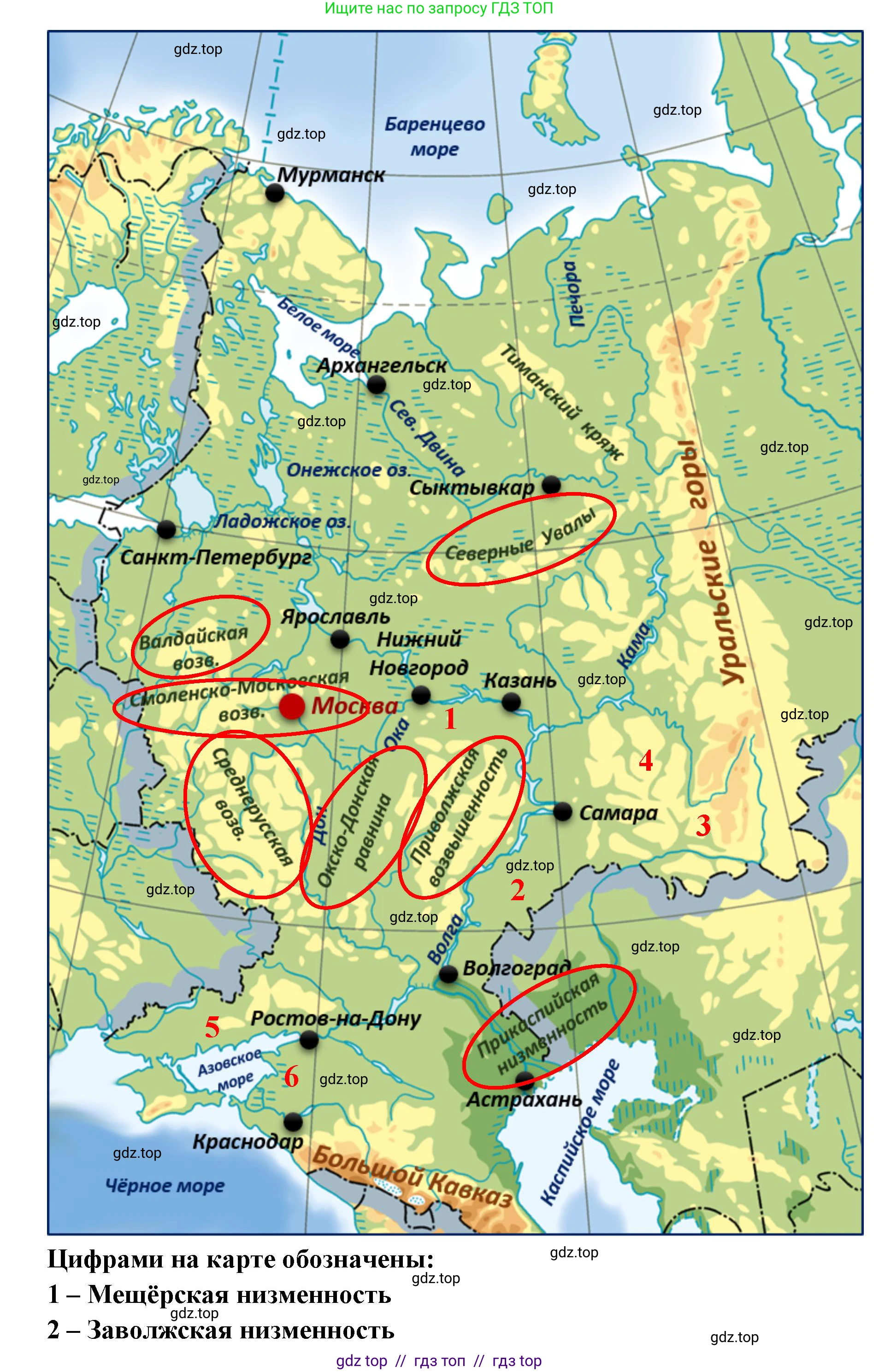 География, 8 класс Учебник, авторы: Алексеев Александр Иванович, Николина Вера Викторовна, Липкина Елена Карловна, Болысов Сергей Иванович, Кузнецова Галина Юрьевна, издательство Просвещение, Москва, 2023, жёлтого цвета, страница 193, номер 7, Решение2 (продолжение 2)