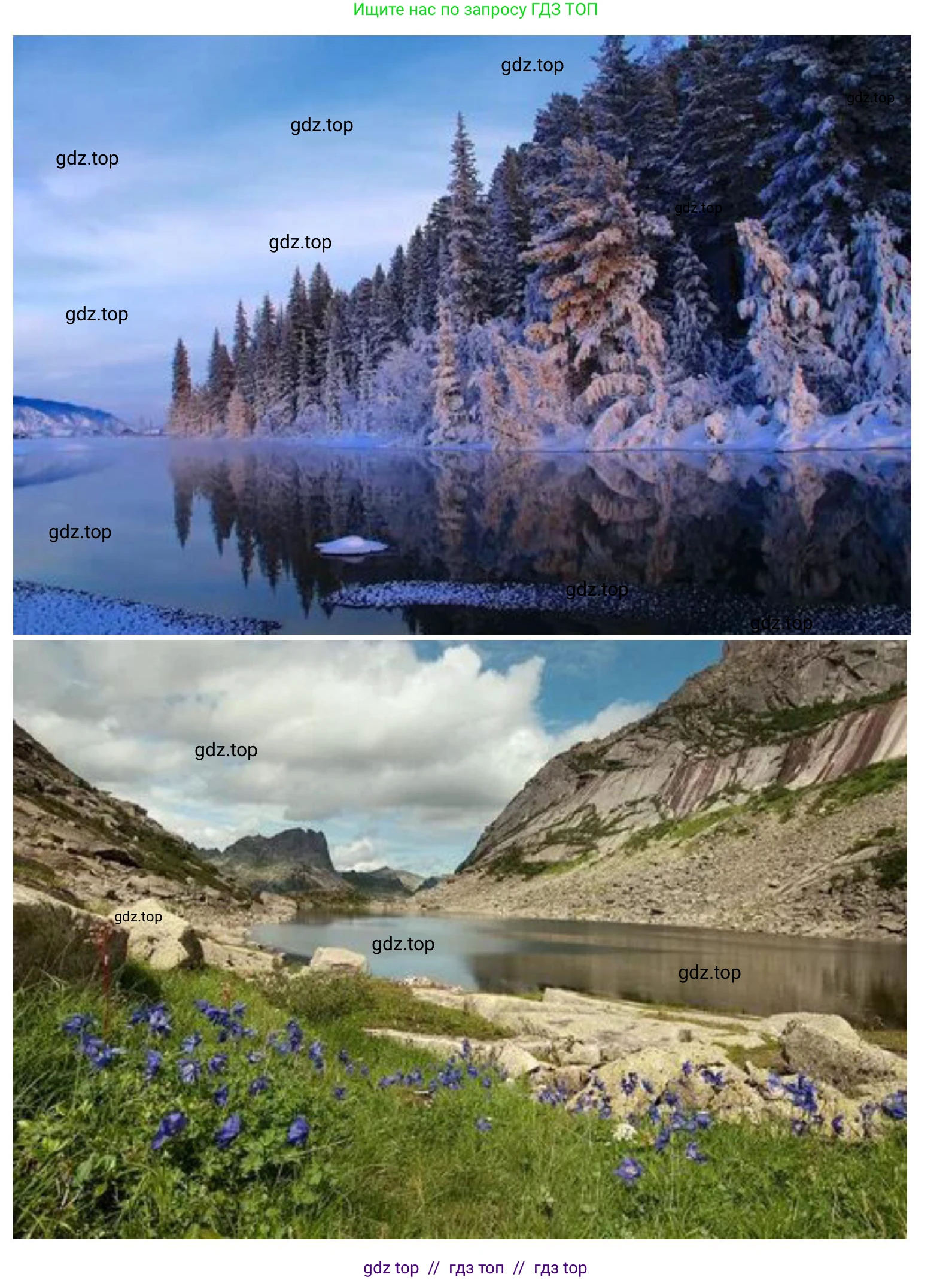 География, 8 класс Учебник, авторы: Алексеев Александр Иванович, Николина Вера Викторовна, Липкина Елена Карловна, Болысов Сергей Иванович, Кузнецова Галина Юрьевна, издательство Просвещение, Москва, 2023, жёлтого цвета, страница 205, номер 8, Решение2 (продолжение 2)