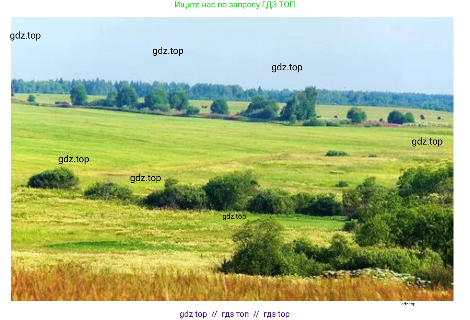 География, 8 класс Учебник, авторы: Алексеев Александр Иванович, Николина Вера Викторовна, Липкина Елена Карловна, Болысов Сергей Иванович, Кузнецова Галина Юрьевна, издательство Просвещение, Москва, 2023, жёлтого цвета, страница 214, номер 2, Решение2 (продолжение 2)