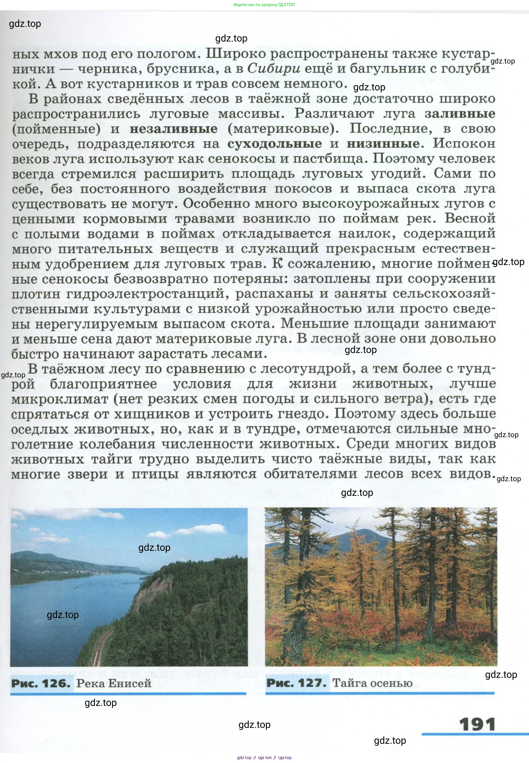 География, 8 класс Учебник, авторы: Алексеев Александр Иванович, Низовцев Вячеслав Алексеевич, Ким Эльвира Васильевна, Кузнецова Галина Юрьевна, Лисенкова Галина Яковлевна, Сиротин Владимир Иванович, издательство Просвещение, Москва, 2023, белого цвета, страница 191