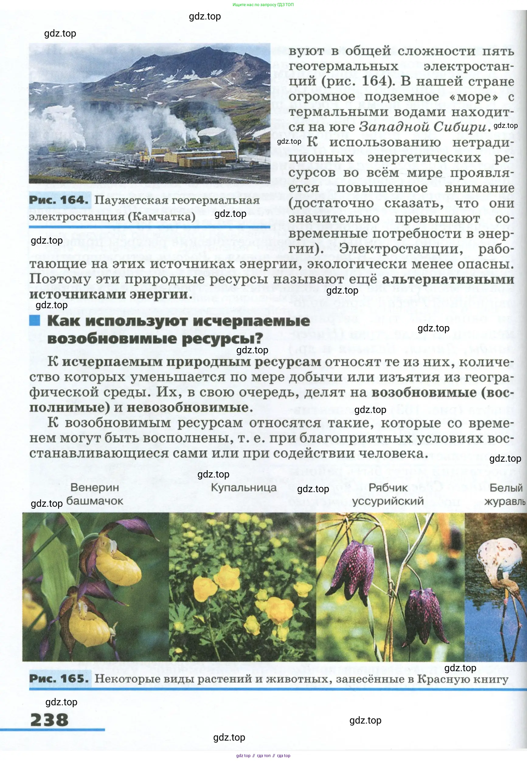 География, 8 класс Учебник, авторы: Алексеев Александр Иванович, Низовцев Вячеслав Алексеевич, Ким Эльвира Васильевна, Кузнецова Галина Юрьевна, Лисенкова Галина Яковлевна, Сиротин Владимир Иванович, издательство Просвещение, Москва, 2023, белого цвета, страница 238