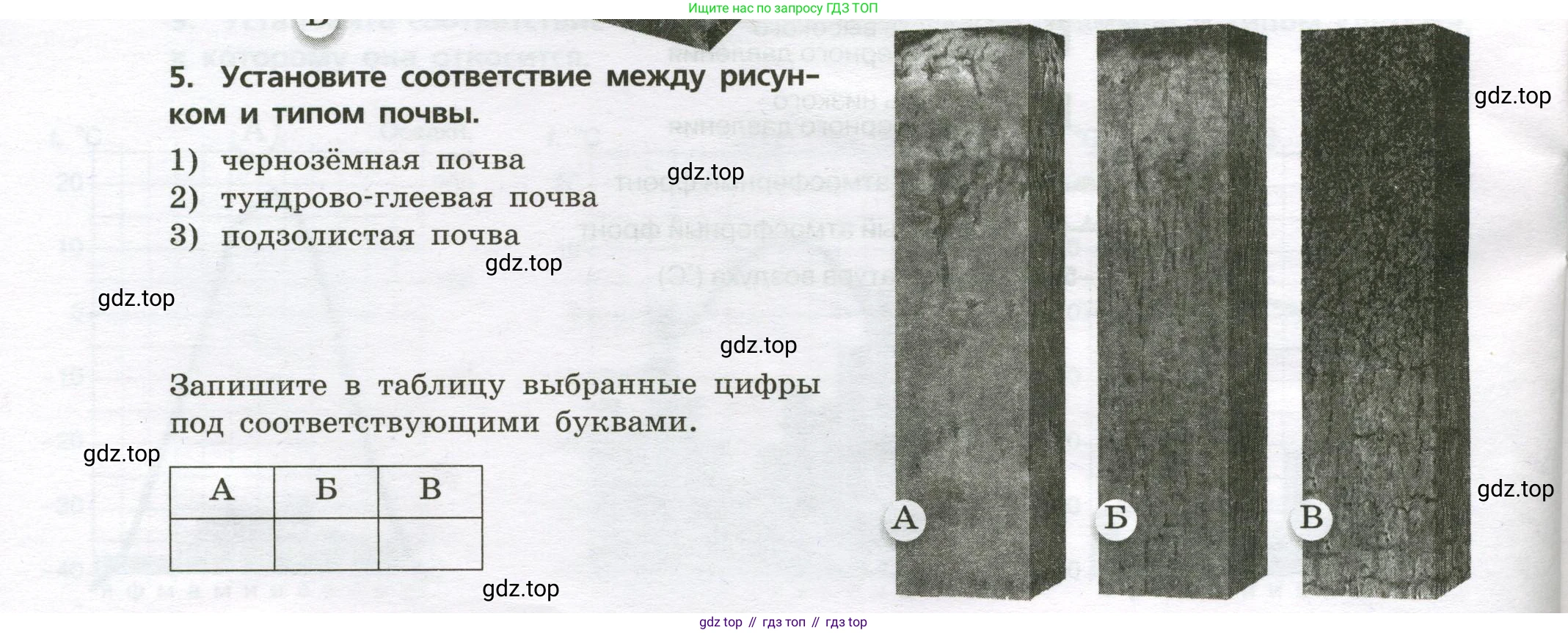 ГДЗ География, 8 класс Проверочные работы, авторы: Бондарева Мария Владимировна, Шидловский Игорь Михайлович, издательство Просвещение, Москва, 2023, жёлтого цвета, страница 18, номер 5, Условие