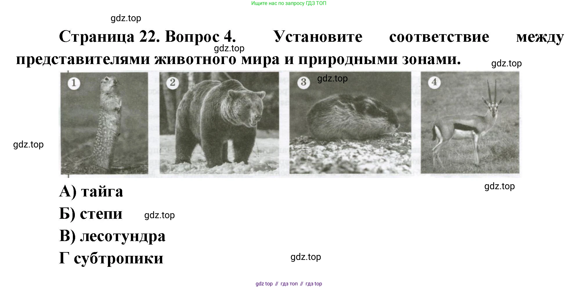 ГДЗ География, 8 класс Проверочные работы, авторы: Бондарева Мария Владимировна, Шидловский Игорь Михайлович, издательство Просвещение, Москва, 2023, жёлтого цвета, страница 22, номер 4, Решение