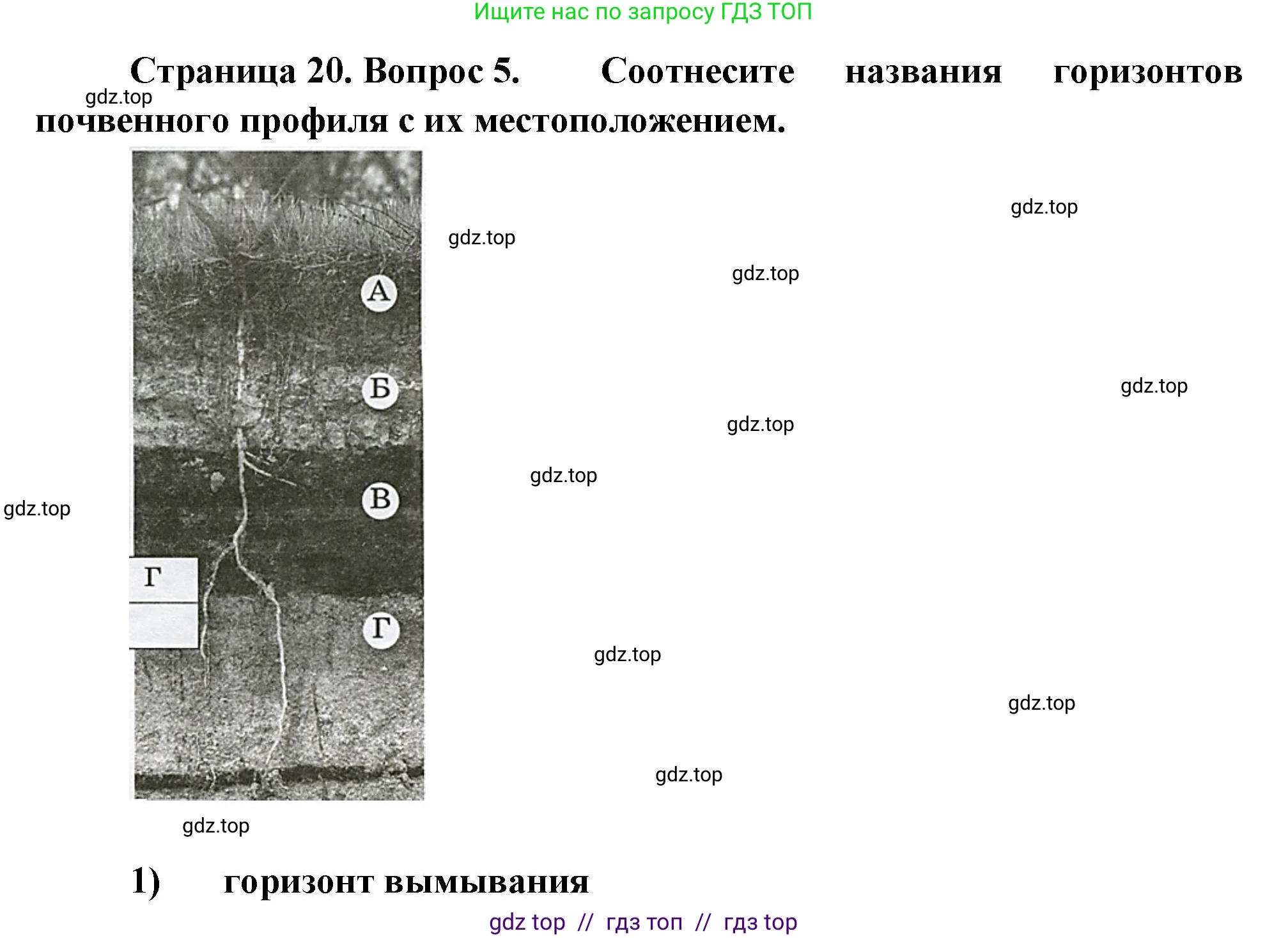 География, 8 класс Проверочные работы, авторы: Бондарева Мария Владимировна, Шидловский Игорь Михайлович, издательство Просвещение, Москва, 2023, жёлтого цвета, страница 20, номер 5, Решение 2