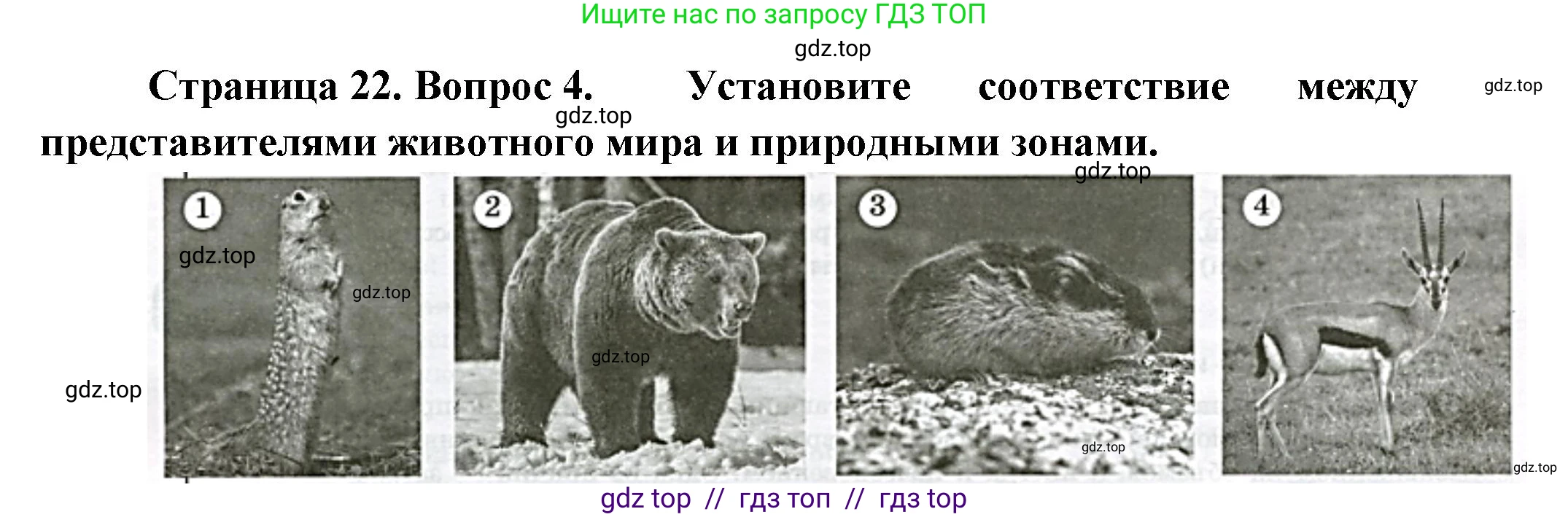География, 8 класс Проверочные работы, авторы: Бондарева Мария Владимировна, Шидловский Игорь Михайлович, издательство Просвещение, Москва, 2023, жёлтого цвета, страница 22, номер 4, Решение 2