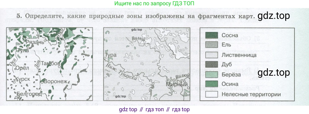 География, 8 класс Мой тренажёр, автор: Николина Вера Викторовна, издательство Просвещение, Москва, 2023, жёлтого цвета, страница 61, номер 5, Условие