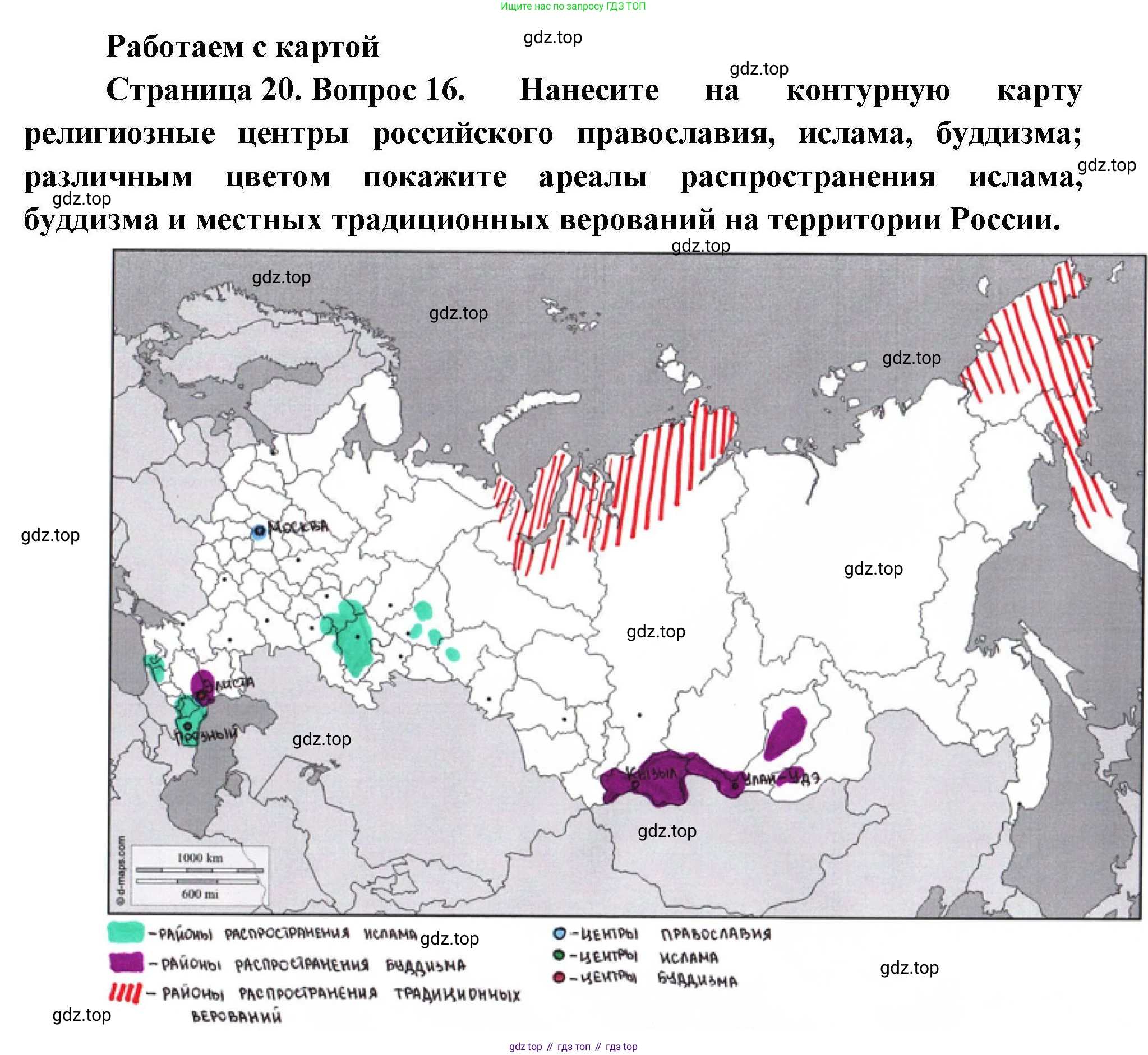География, 8 класс Мой тренажёр, автор: Николина Вера Викторовна, издательство Просвещение, Москва, 2023, жёлтого цвета, страница 20, номер 16, Решение