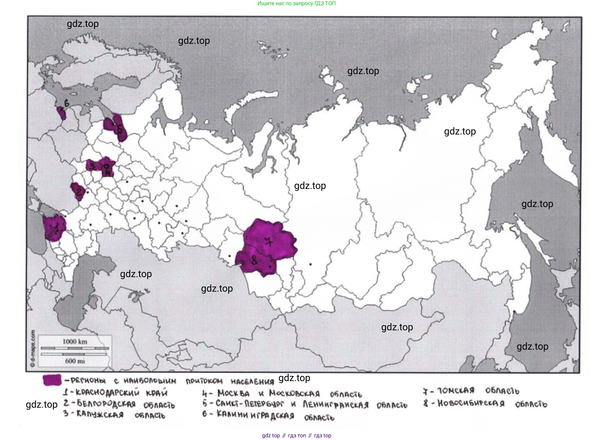 География, 8 класс Мой тренажёр, автор: Николина Вера Викторовна, издательство Просвещение, Москва, 2023, жёлтого цвета, страница 20, номер 19, Решение