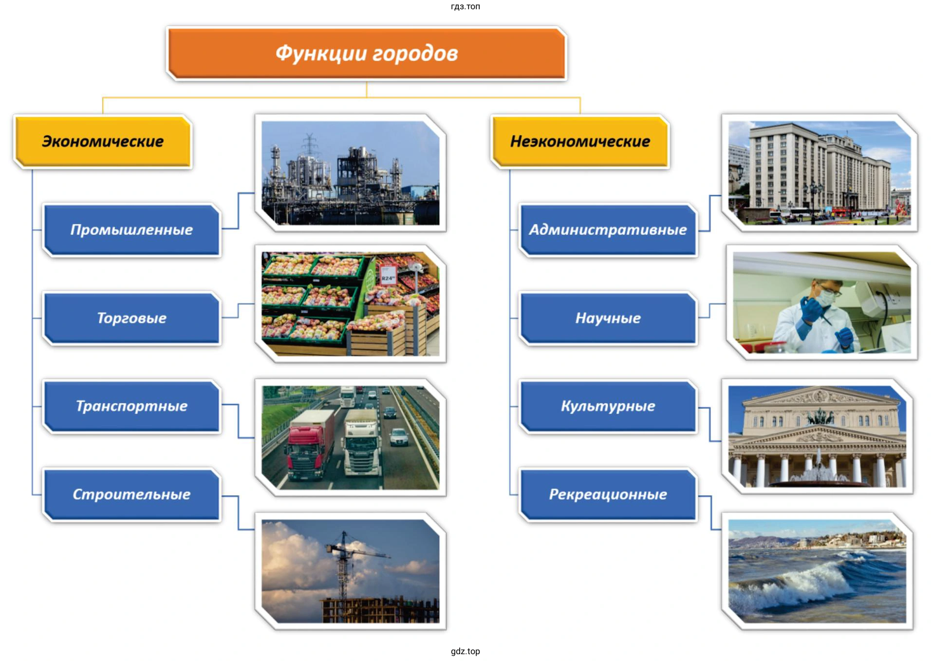 Схема, раскрывающая типы и функции поселений вашего региона