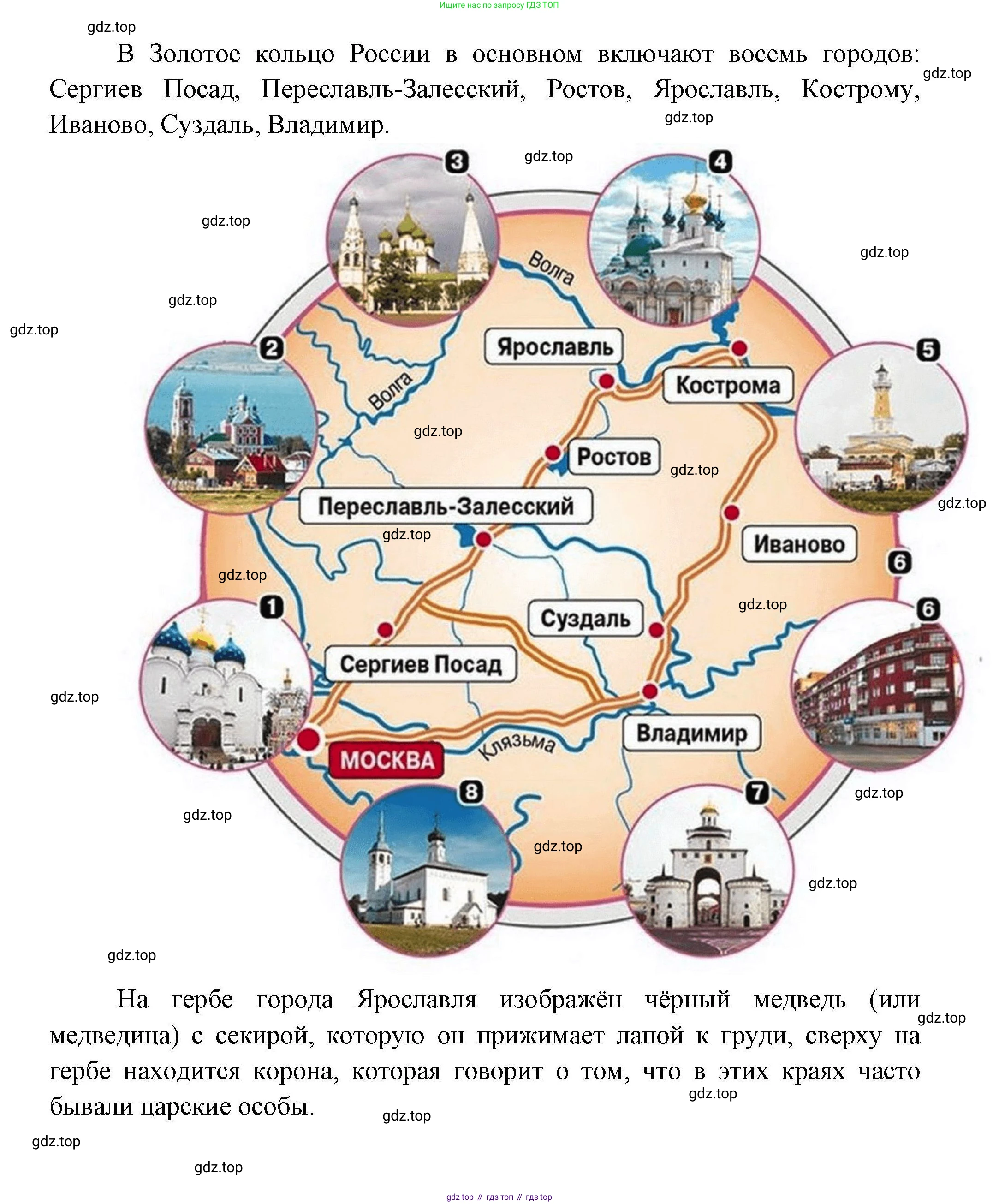 География, 8 класс Мой тренажёр, автор: Николина Вера Викторовна, издательство Просвещение, Москва, 2023, жёлтого цвета, страница 24, номер 29, Решение