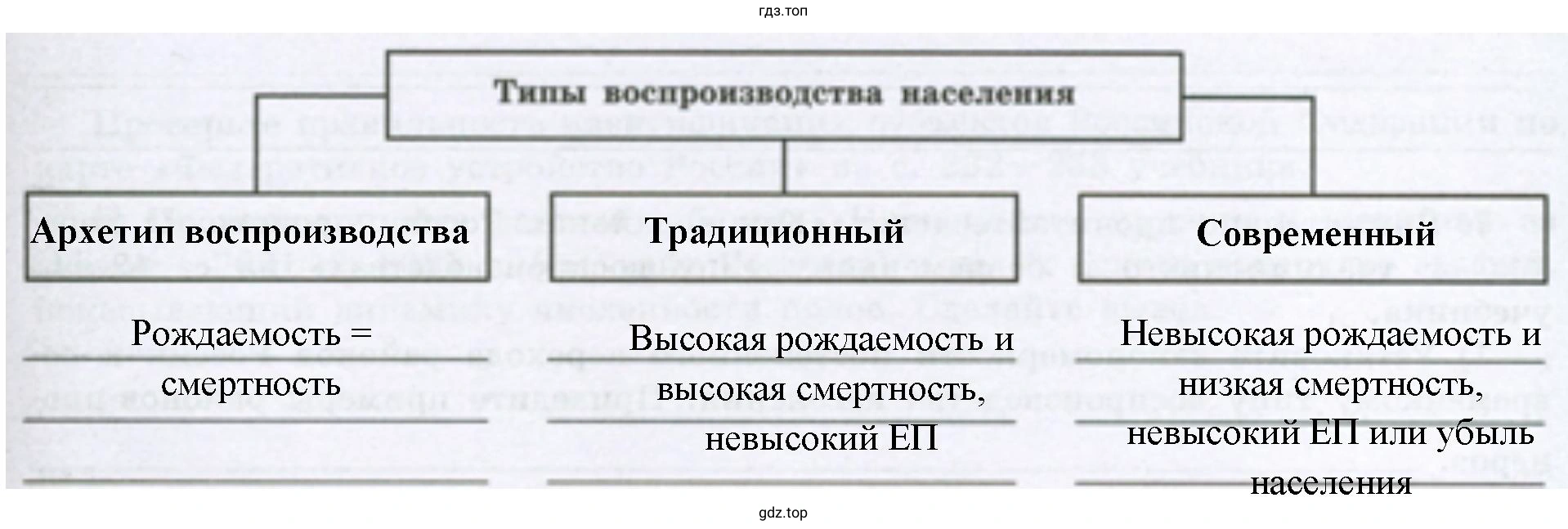 Схема, раскрывающую особенности различных типов воспроизводства населения